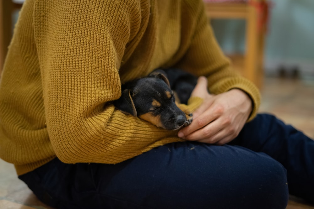 a person holding a dog