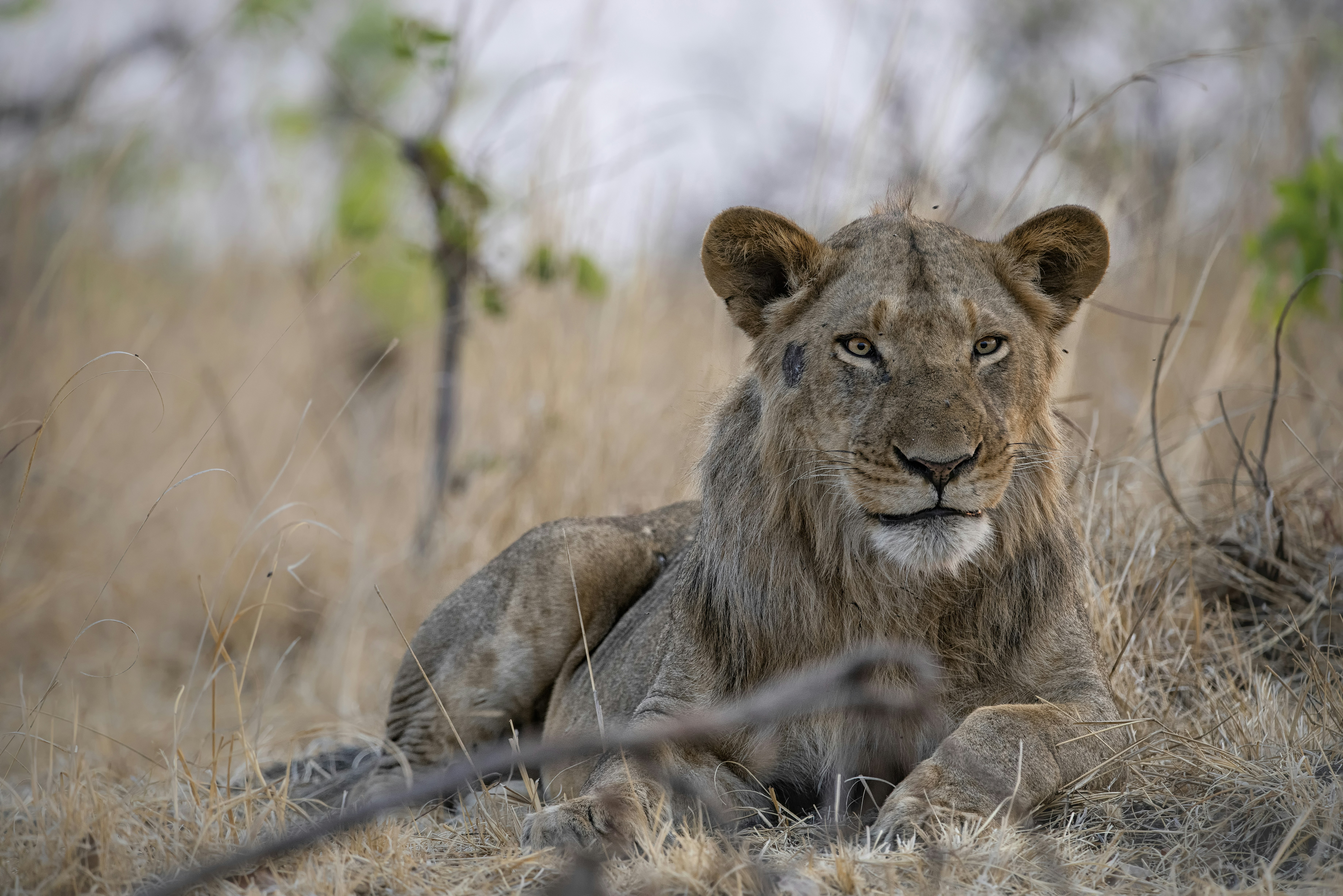 Photo by ajeetpanesarphotography