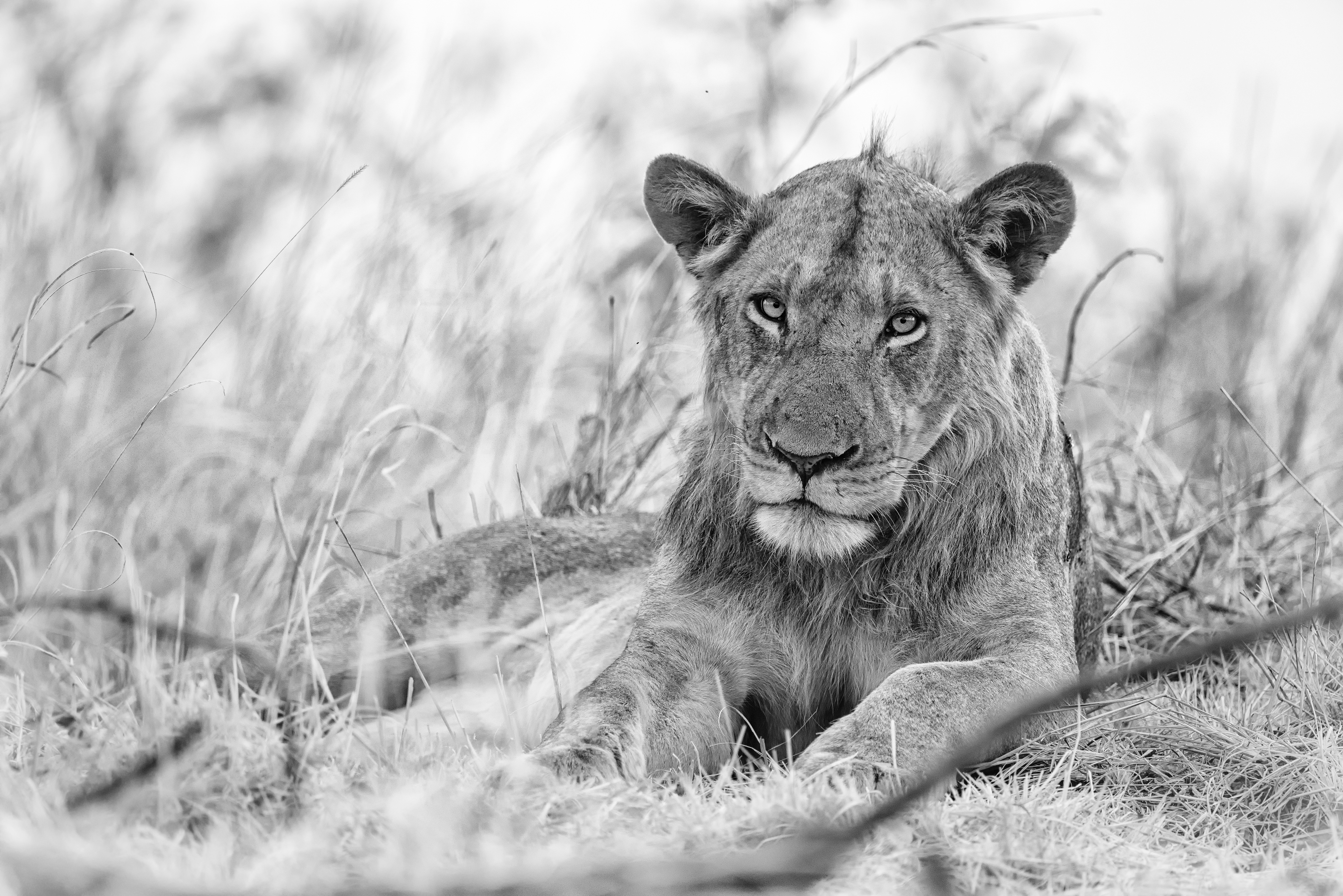 Photo by ajeetpanesarphotography