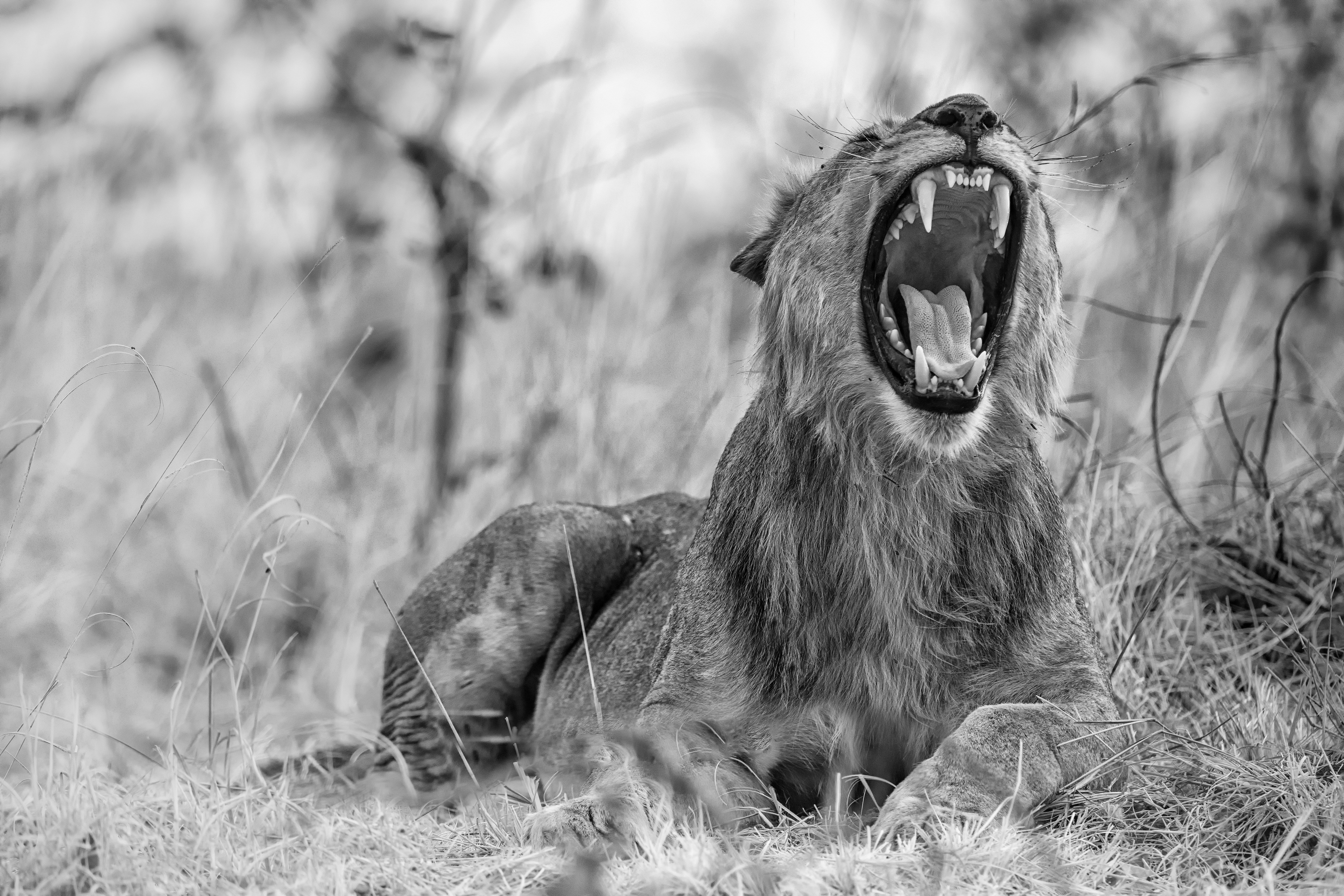 Photo by ajeetpanesarphotography