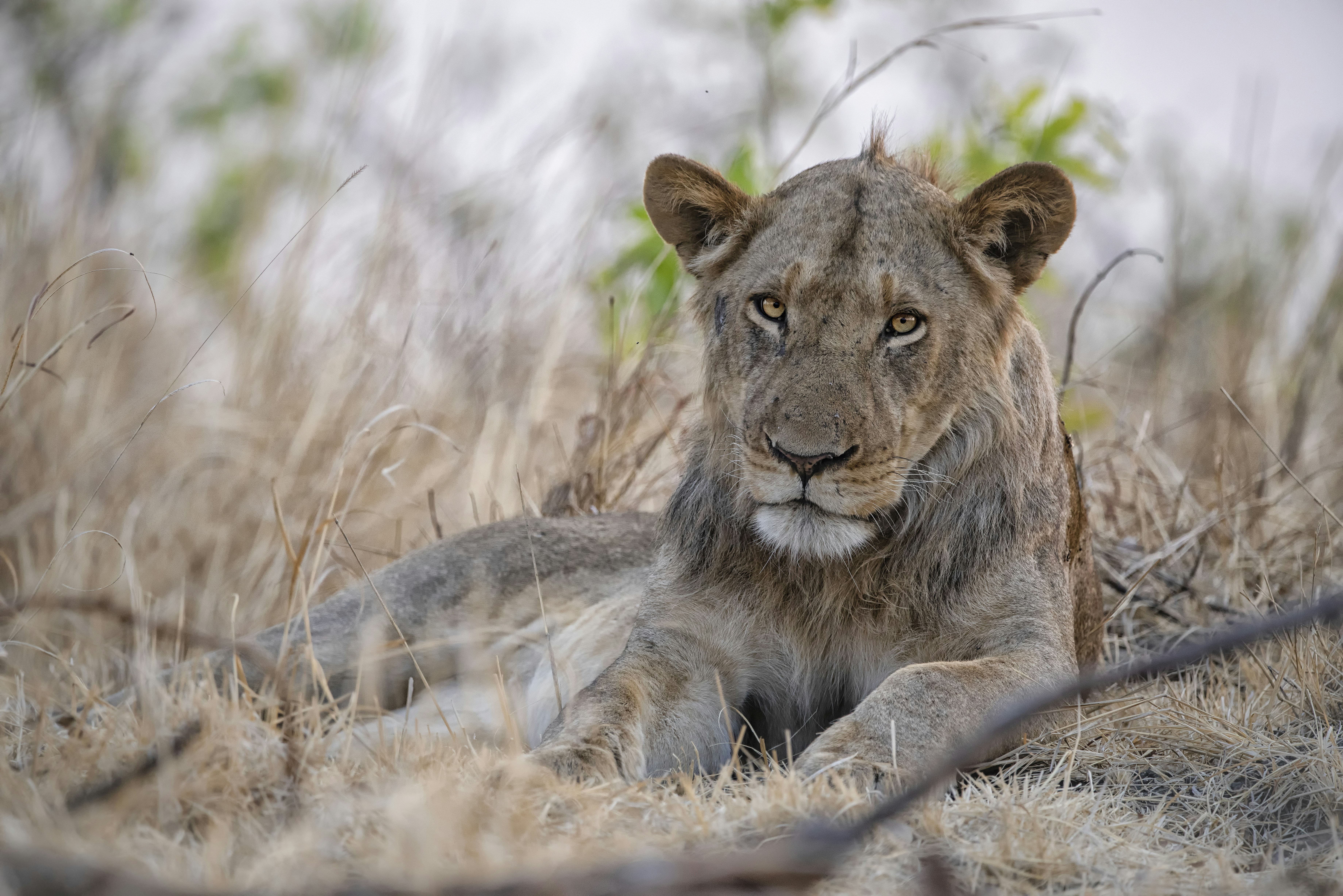 Photo by ajeetpanesarphotography