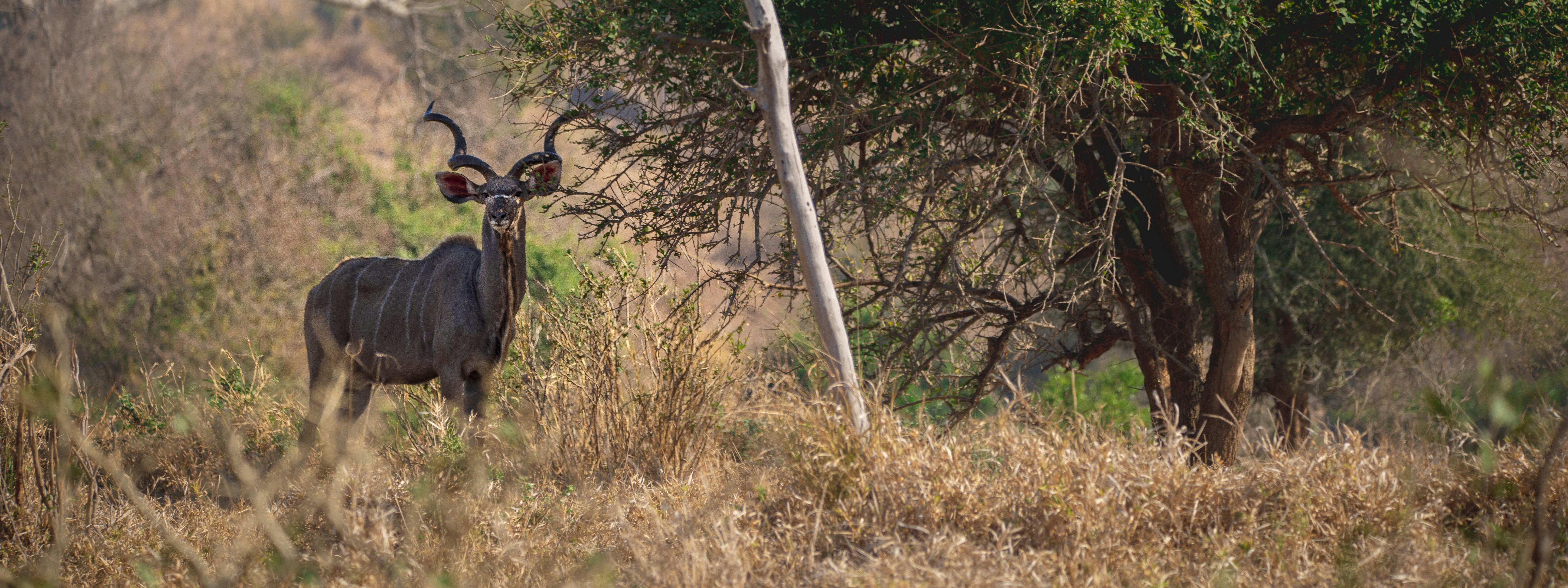 Photo by ajeetpanesarphotography