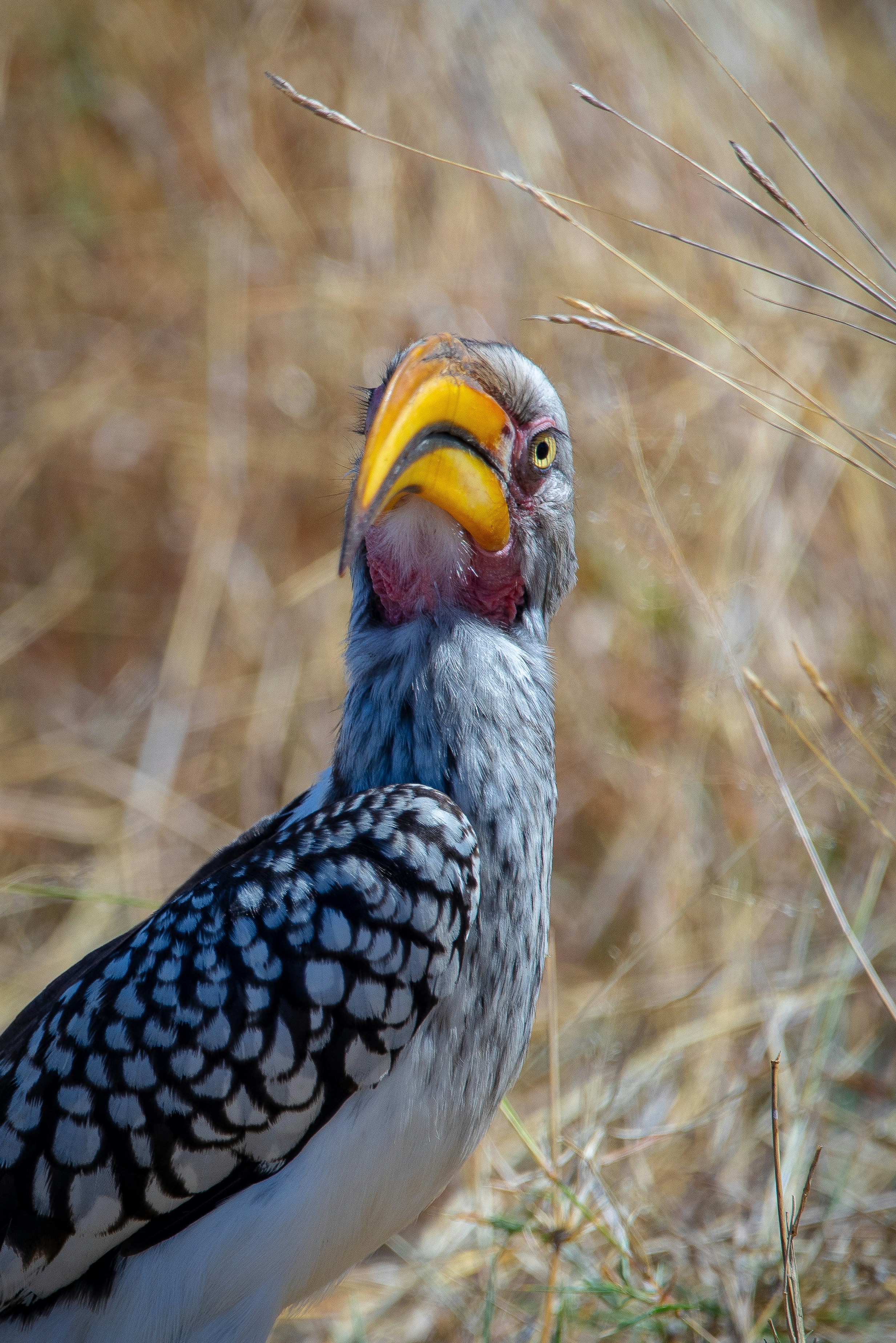 Photo by ajeetpanesarphotography