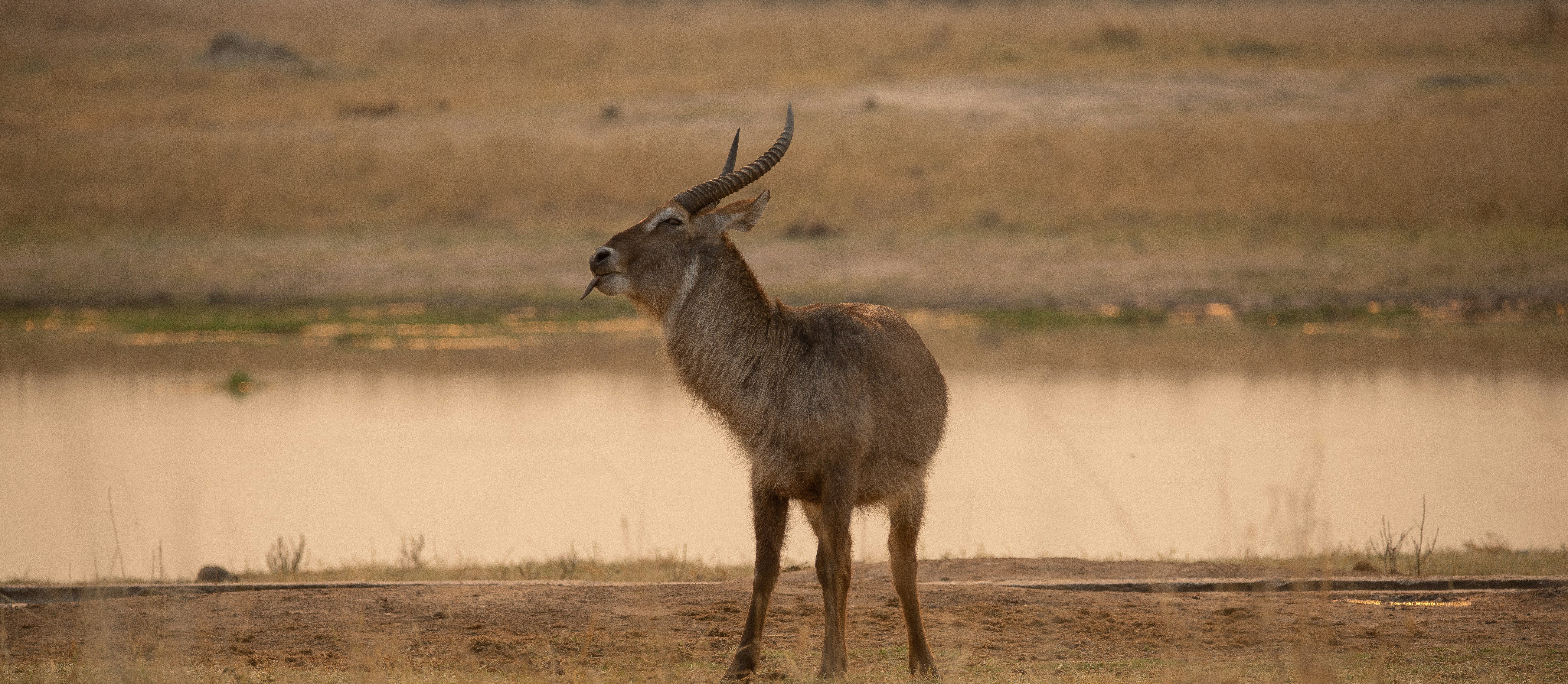 Photo by ajeetpanesarphotography