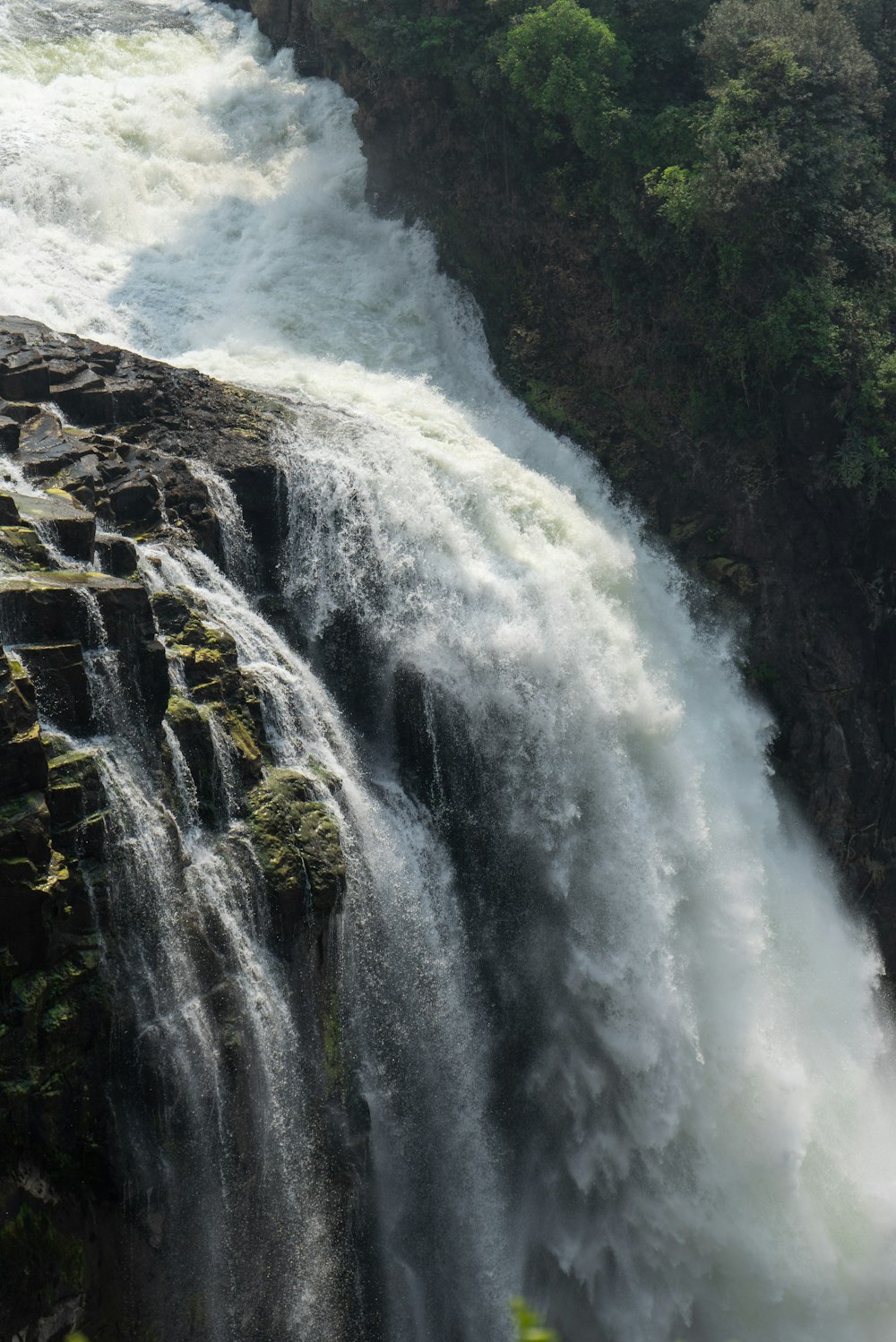 a waterfall in a forest