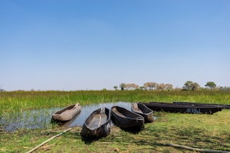 a group of tires in a field
