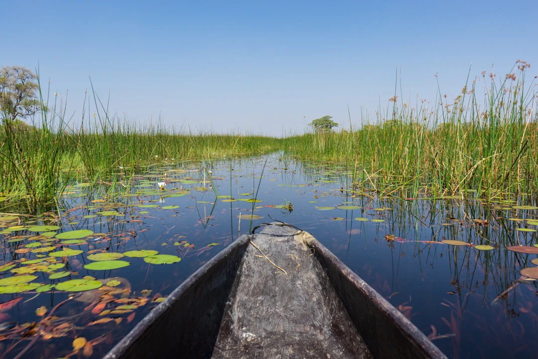 Luxury 6-Day Botswana Itinerary: Okavango & Chobe