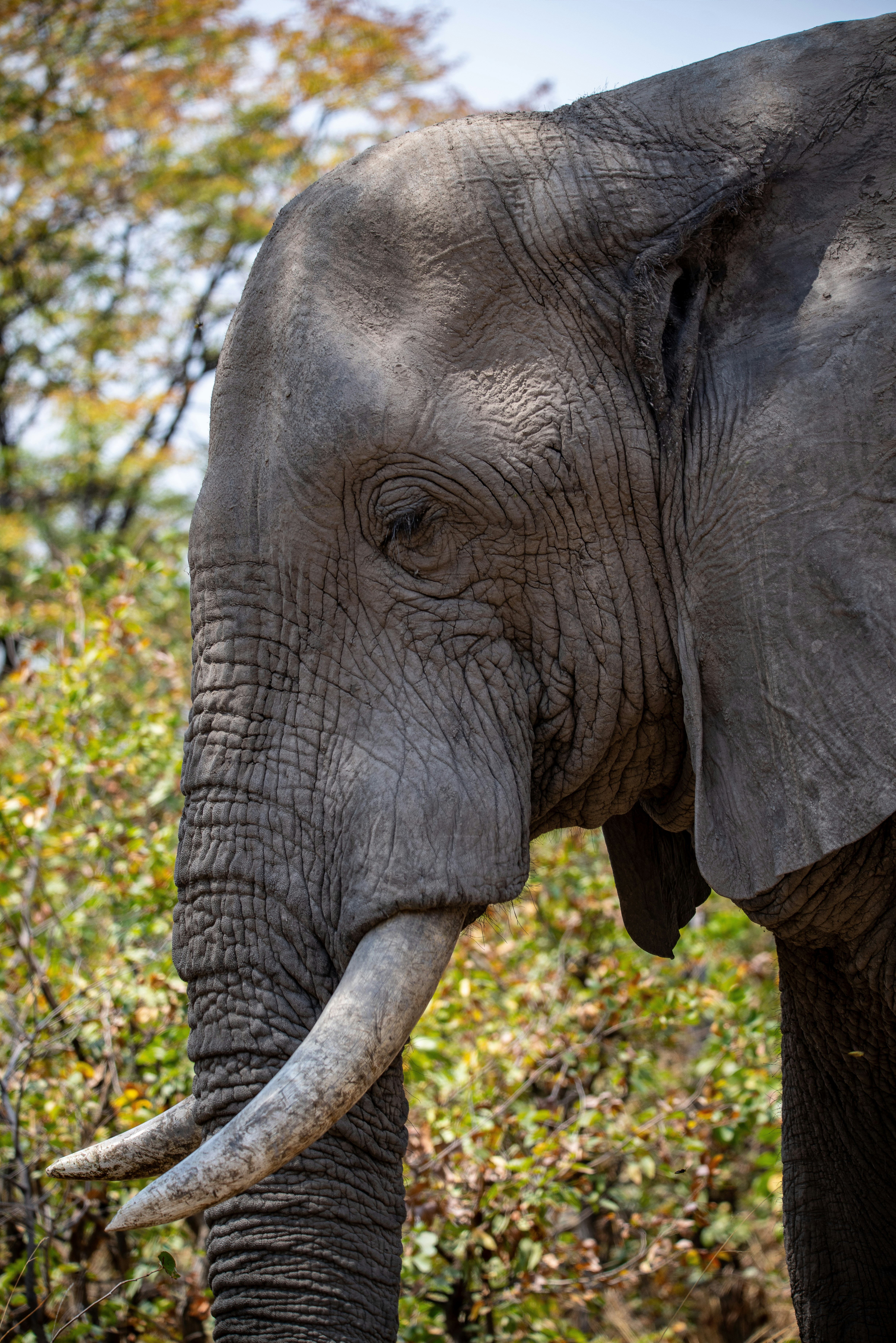 Photo by ajeetpanesarphotography