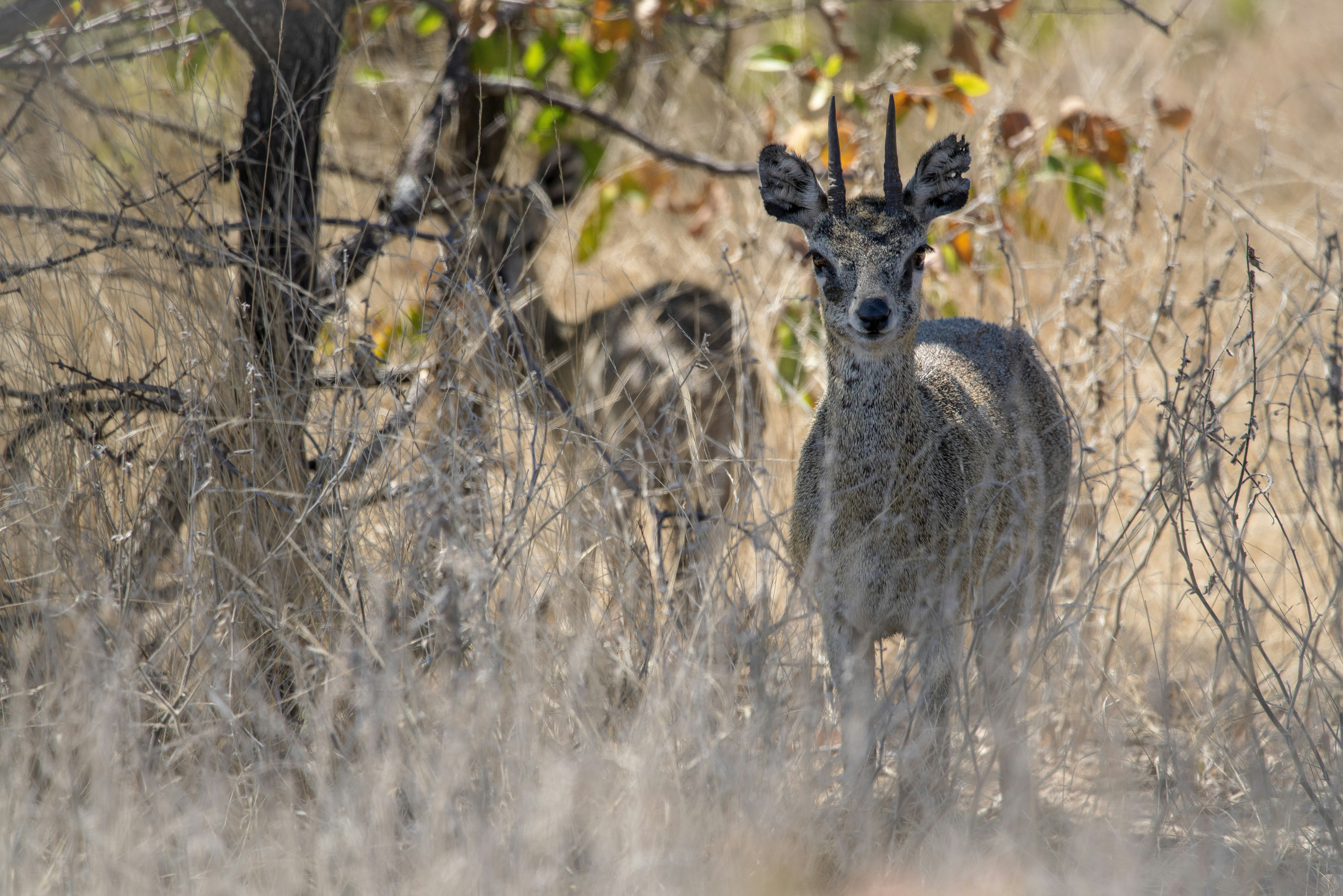 Photo by ajeetpanesarphotography