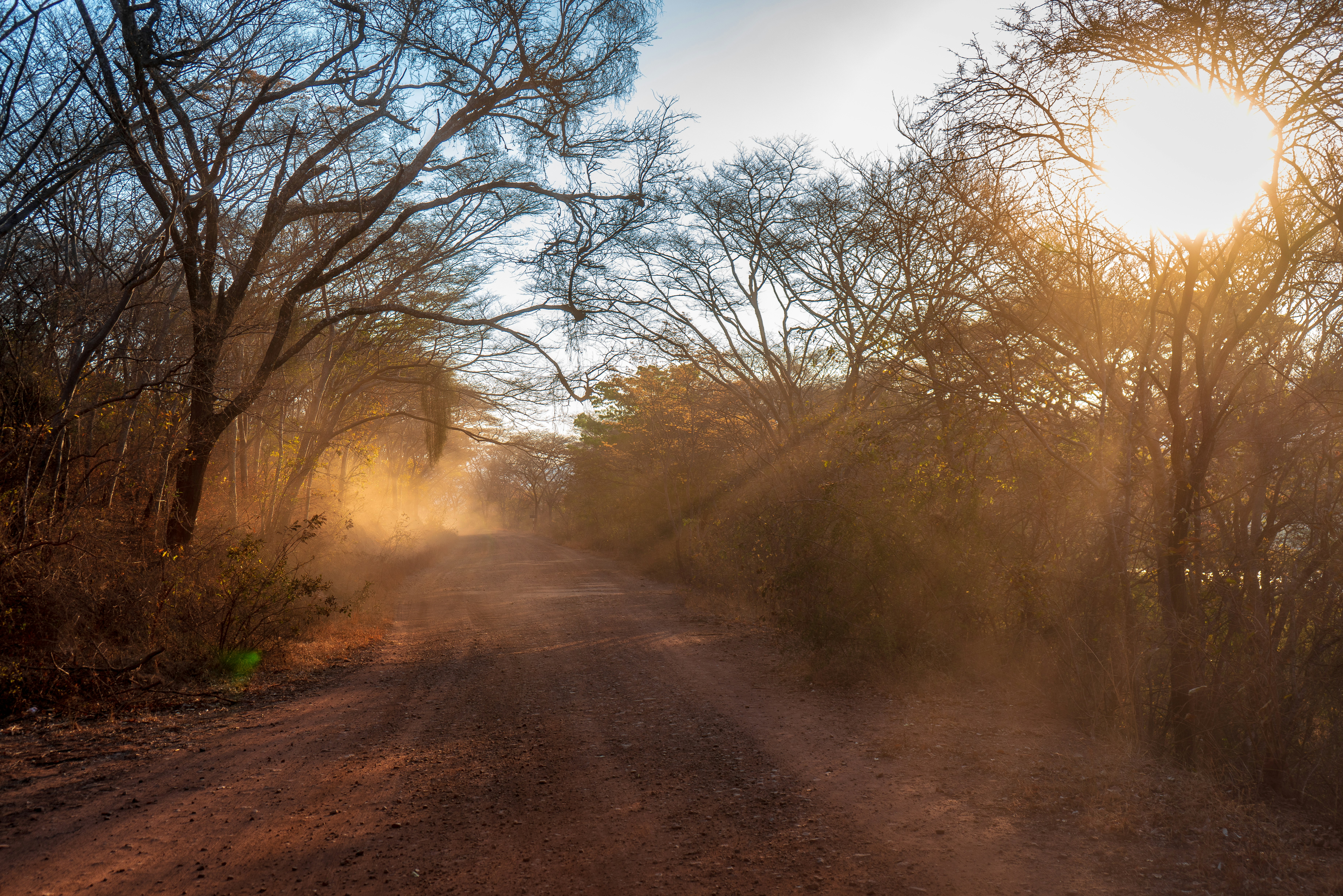 Interrupted by Infinite Grace