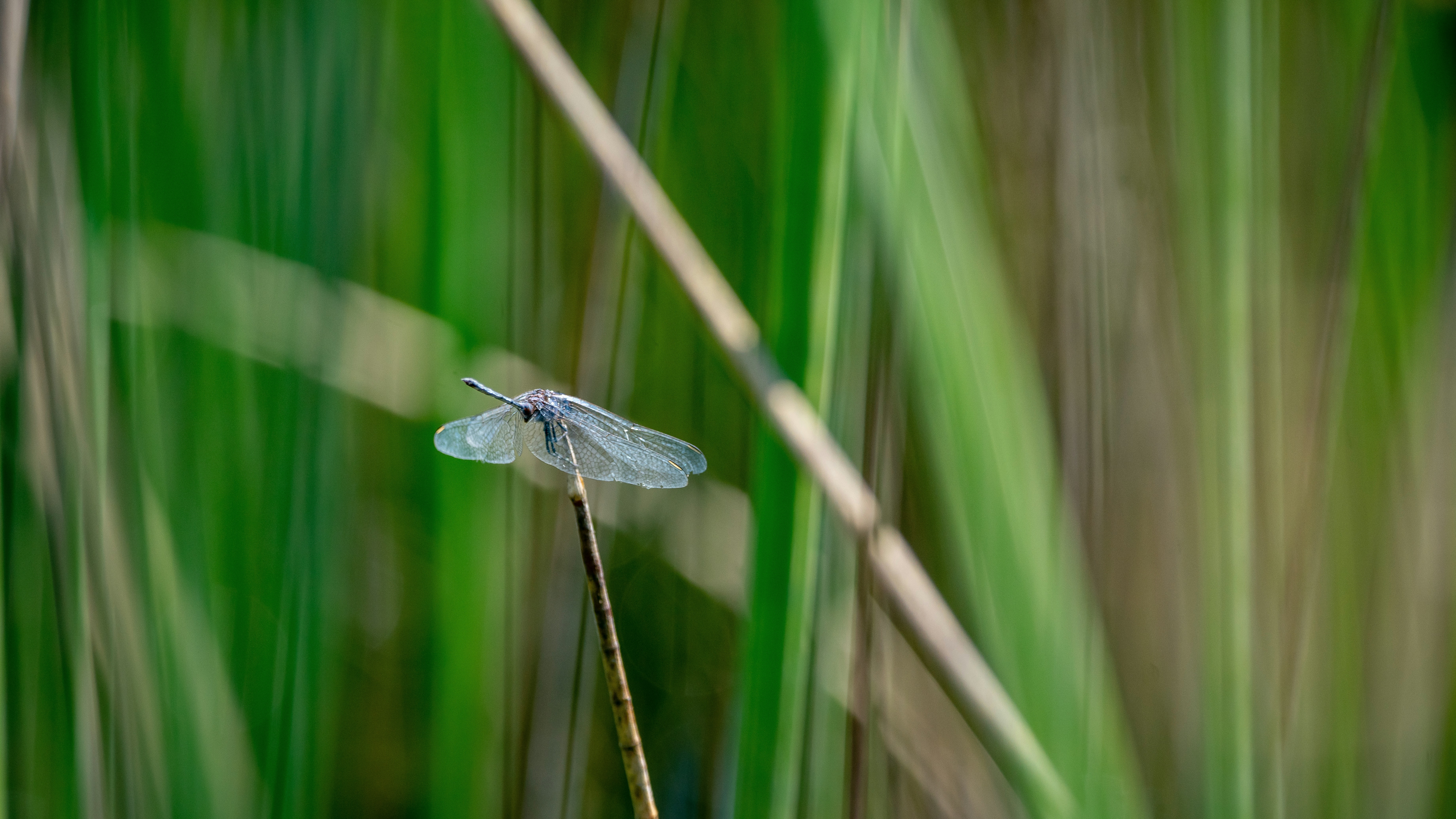 Photo by ajeetpanesarphotography