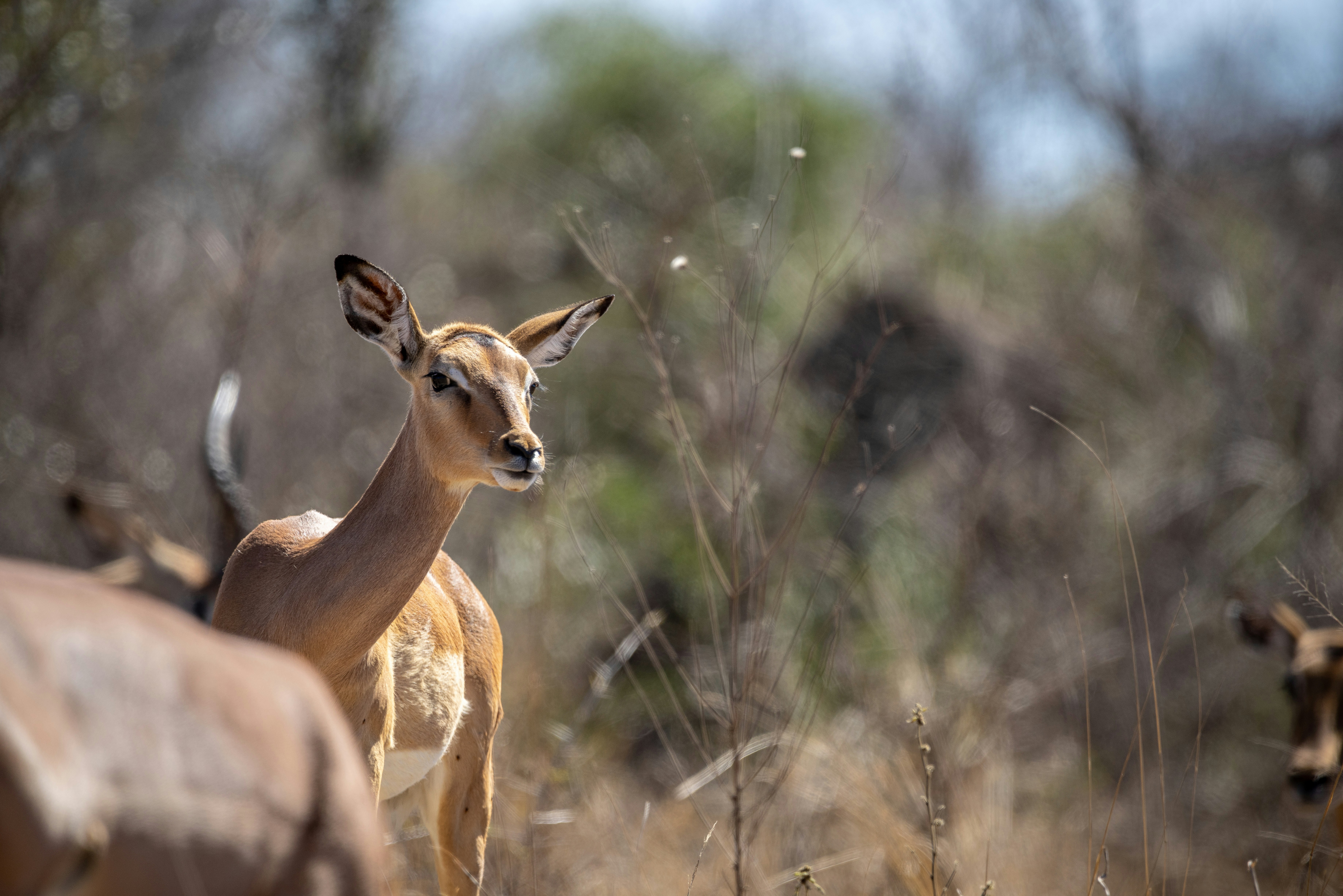 Photo by ajeetpanesarphotography