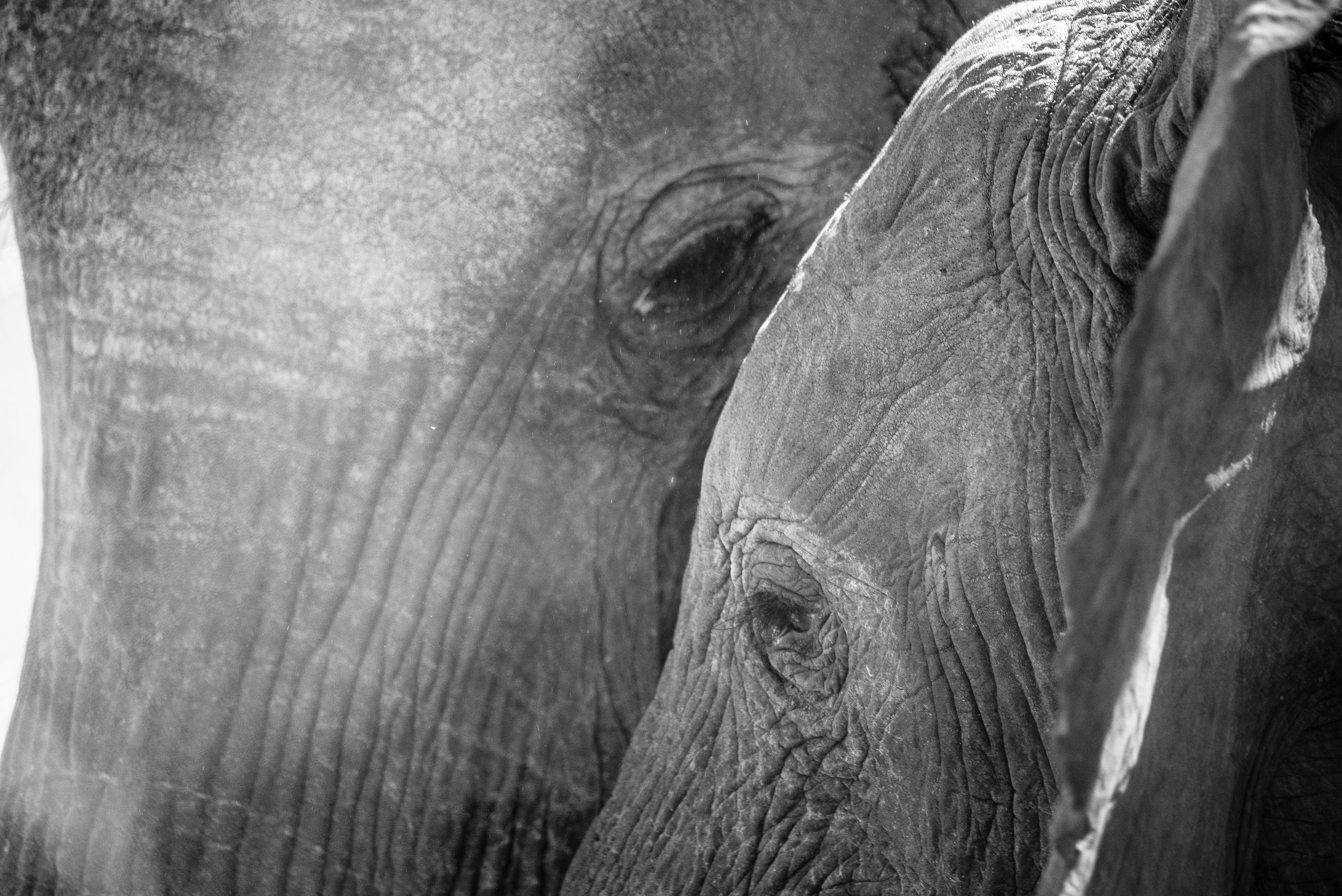 Photo by ajeetpanesarphotography