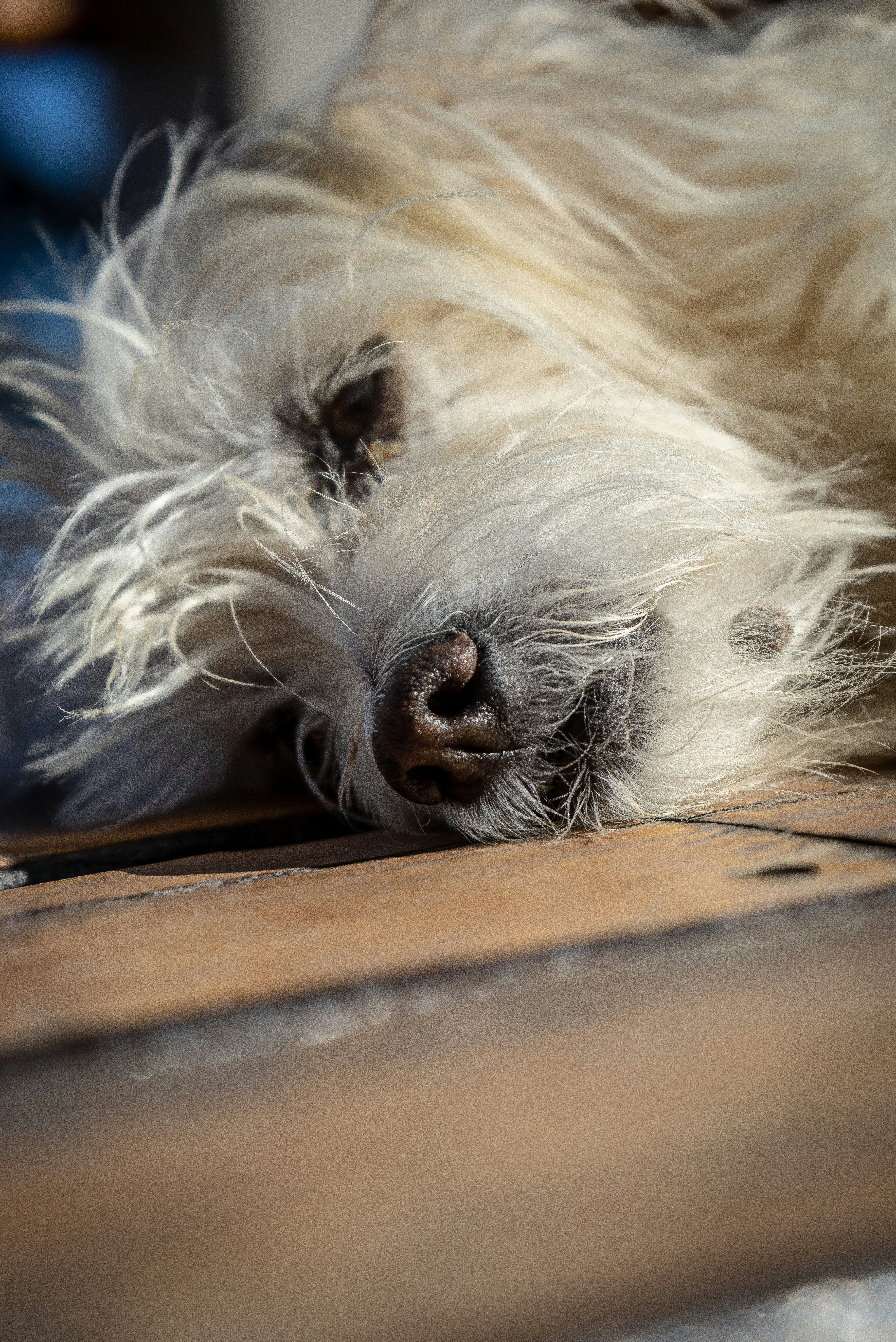 Photo by ajeetpanesarphotography