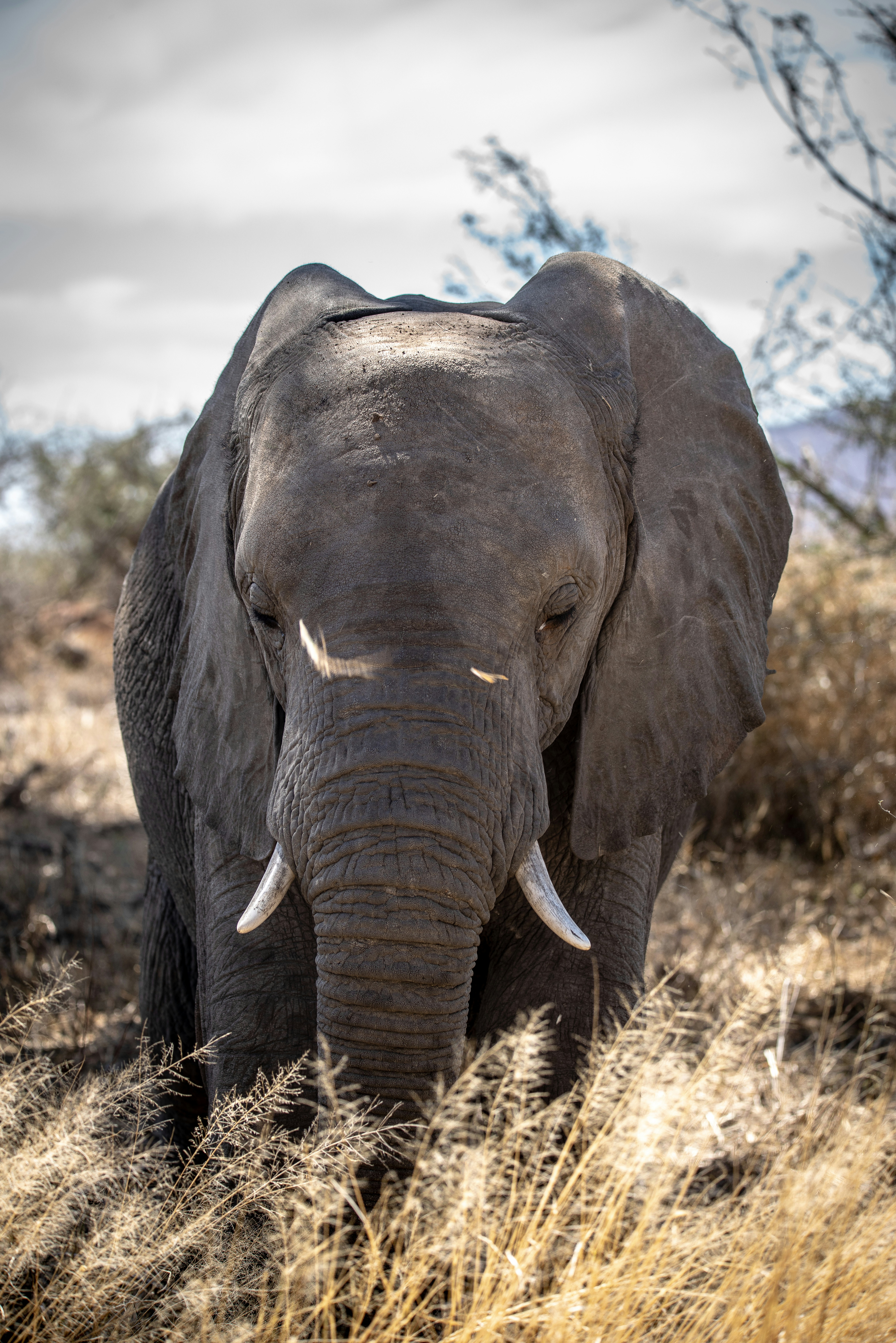 Photo by ajeetpanesarphotography