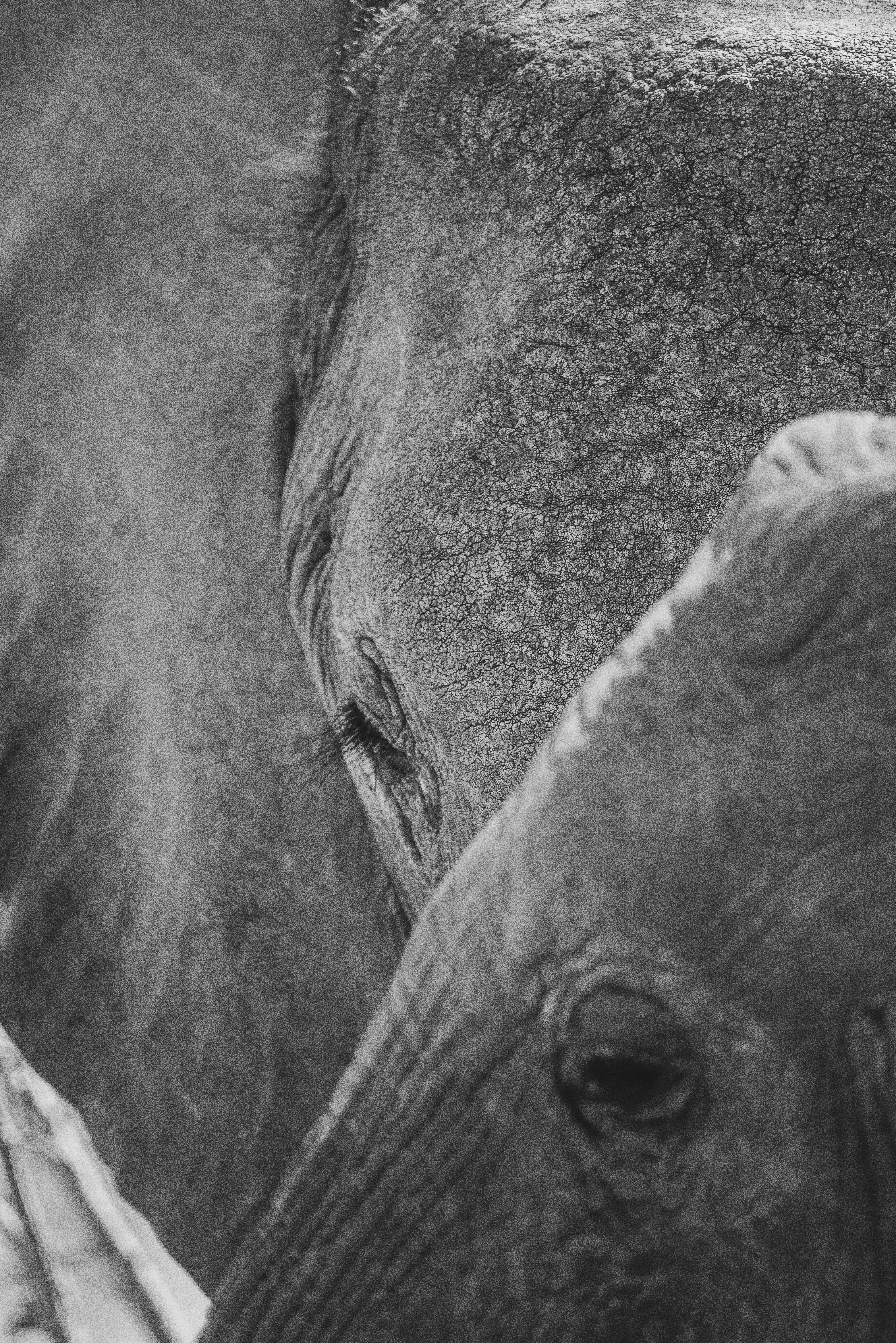 Photo by ajeetpanesarphotography