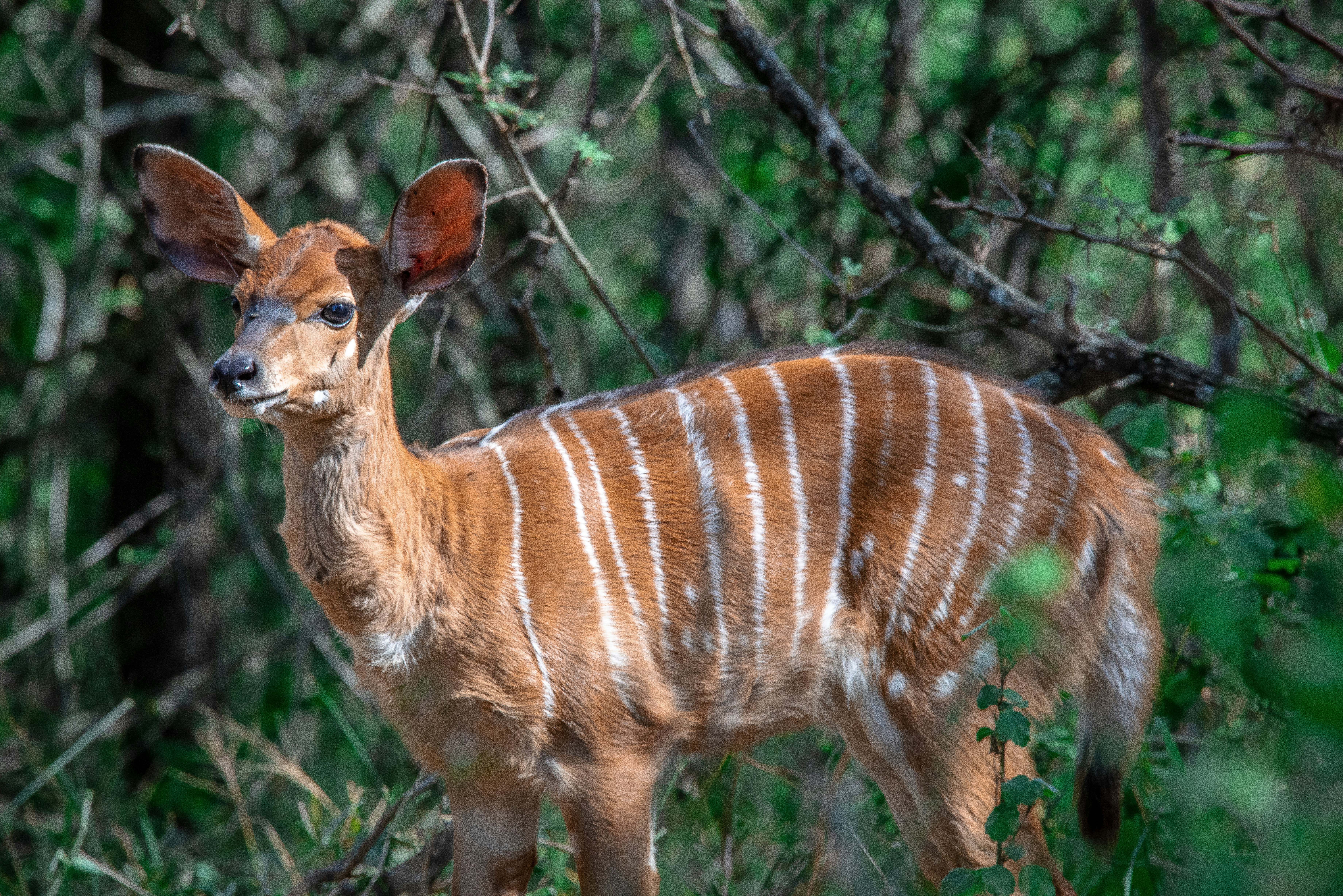 Photo by ajeetpanesarphotography