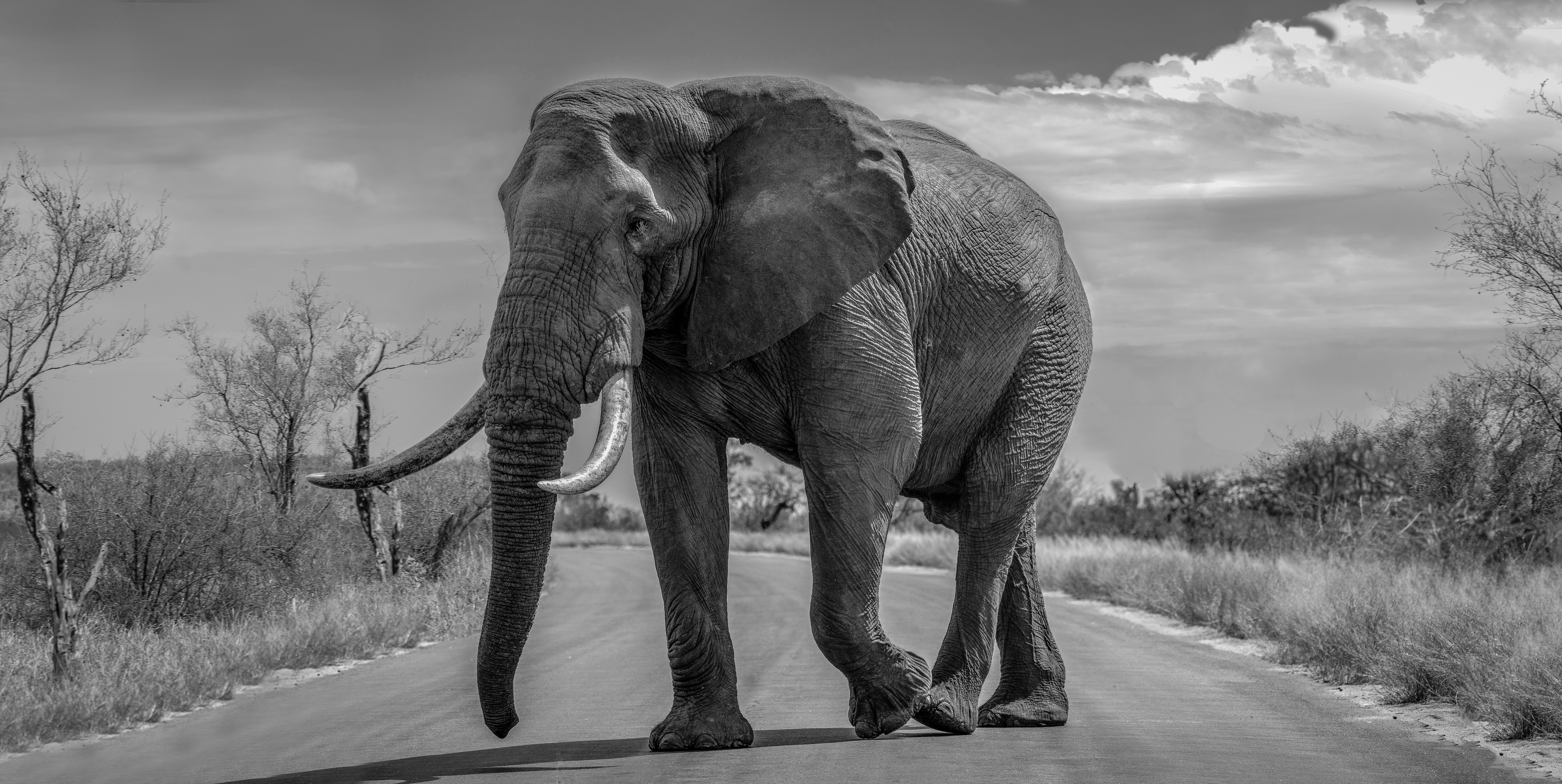 Photo by ajeetpanesarphotography