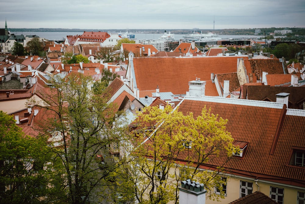 a group of rooftops with trees