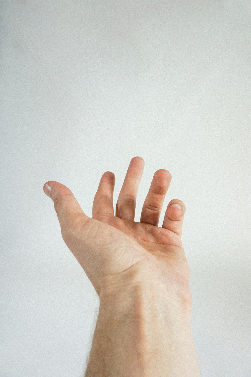 una mano con sfondo bianco