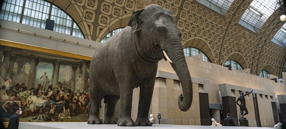 a statue of an elephant in a museum