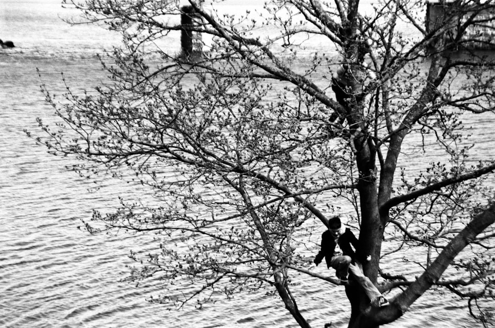 a couple people sitting on a tree branch by a body of water