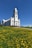 A white church with a tall bell tower stands on a grassy hill covered with blooming yellow flowers, under a clear blue sky. The building features arched windows and crosses, radiating a sense of serenity and spirituality.
