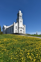 A white church with a tall bell tower stands on a grassy hill covered with blooming yellow flowers, under a clear blue sky. The building features arched windows and crosses, radiating a sense of serenity and spirituality.