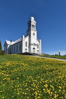 A white church with a tall bell tower stands on a grassy hill covered with blooming yellow flowers, under a clear blue sky. The building features arched windows and crosses, radiating a sense of serenity and spirituality.