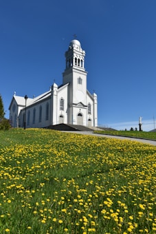 A white church with a tall bell tower stands on a grassy hill covered with blooming yellow flowers, under a clear blue sky. The building features arched windows and crosses, radiating a sense of serenity and spirituality.