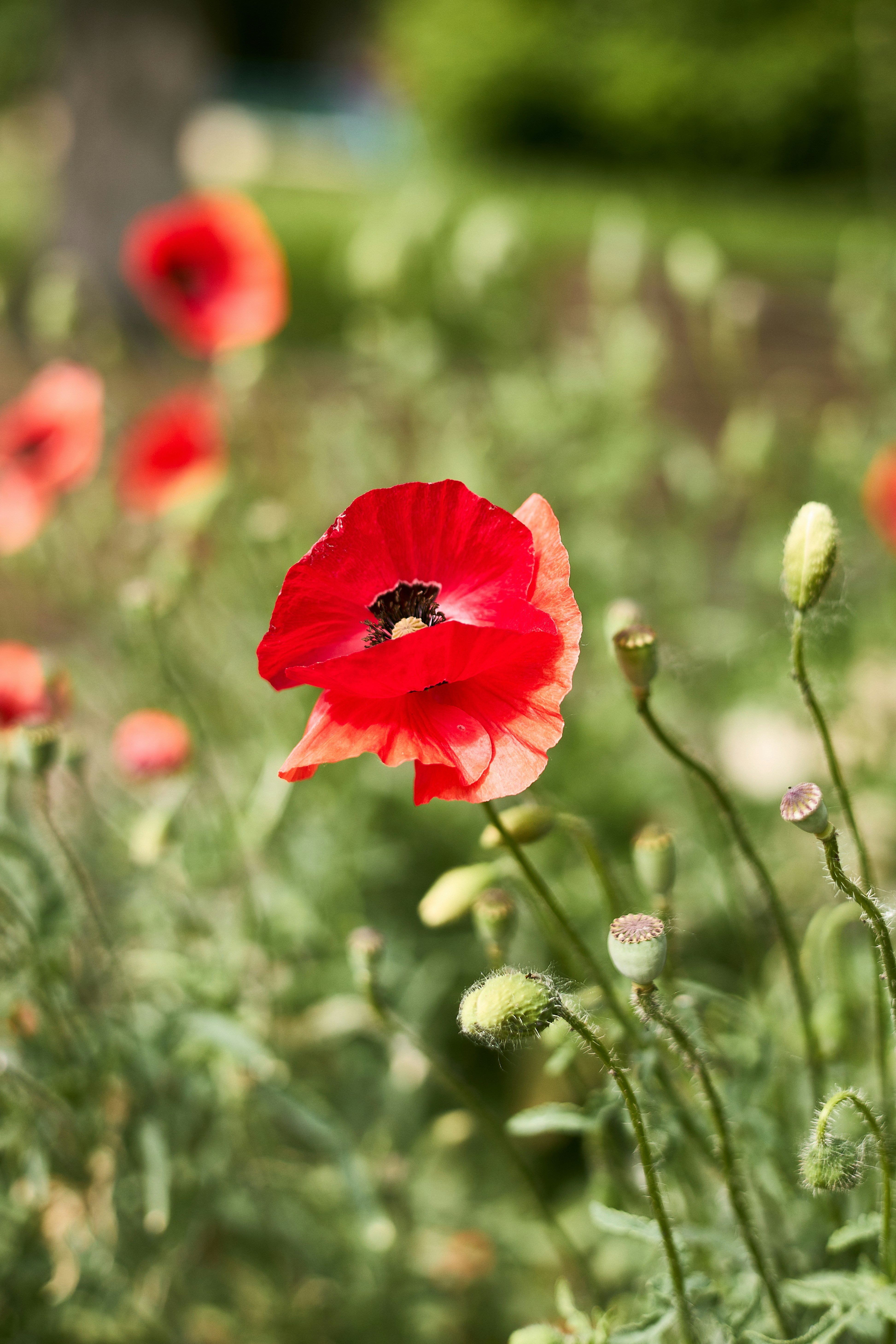 Photo by ann_leo_photo