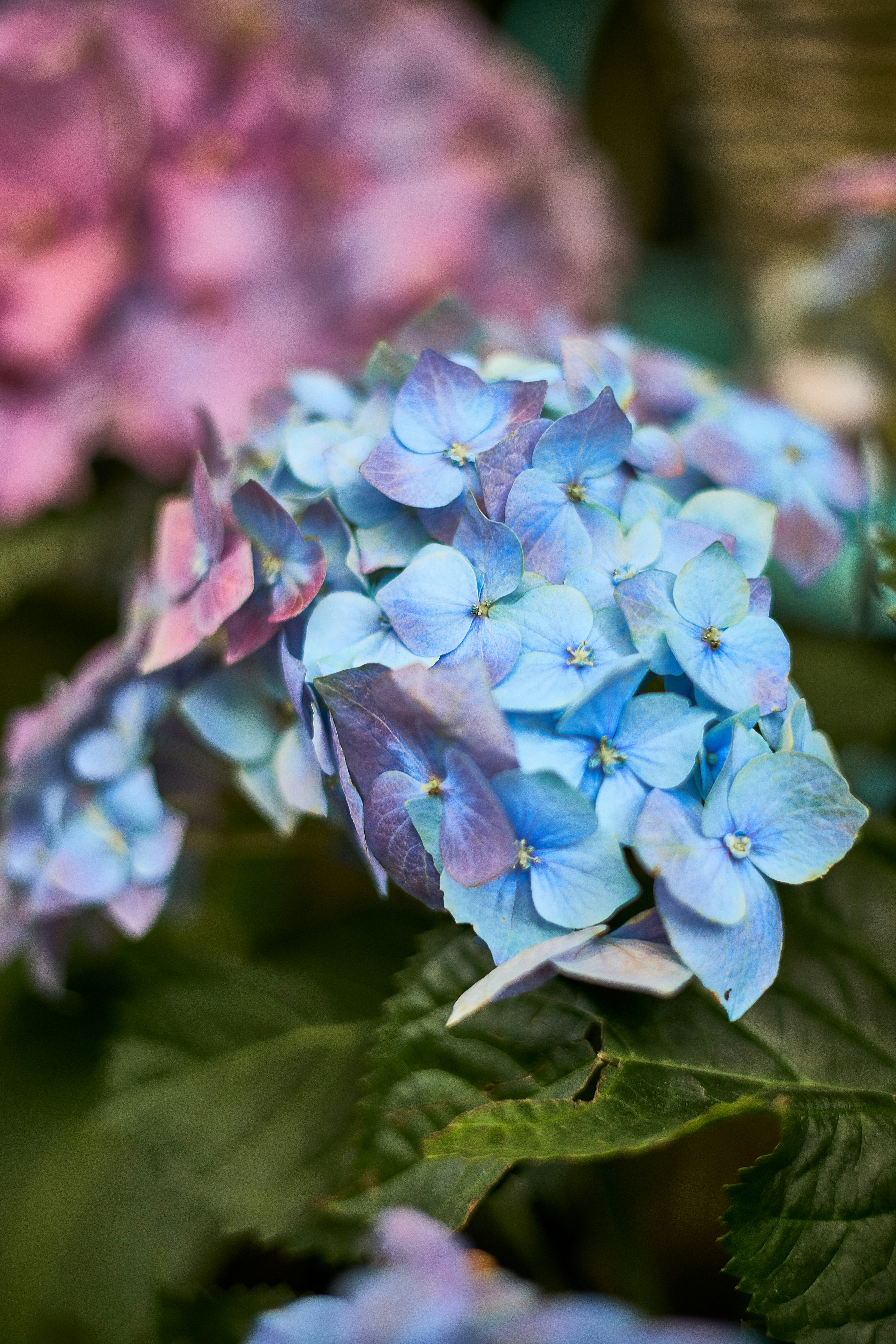 Photo by ann_leo_photo