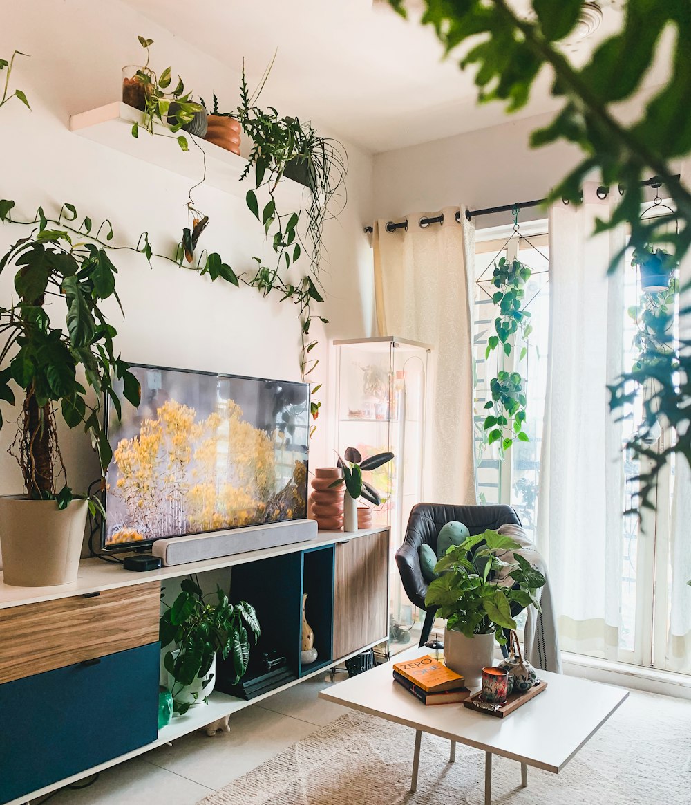 a room with a tv and plants