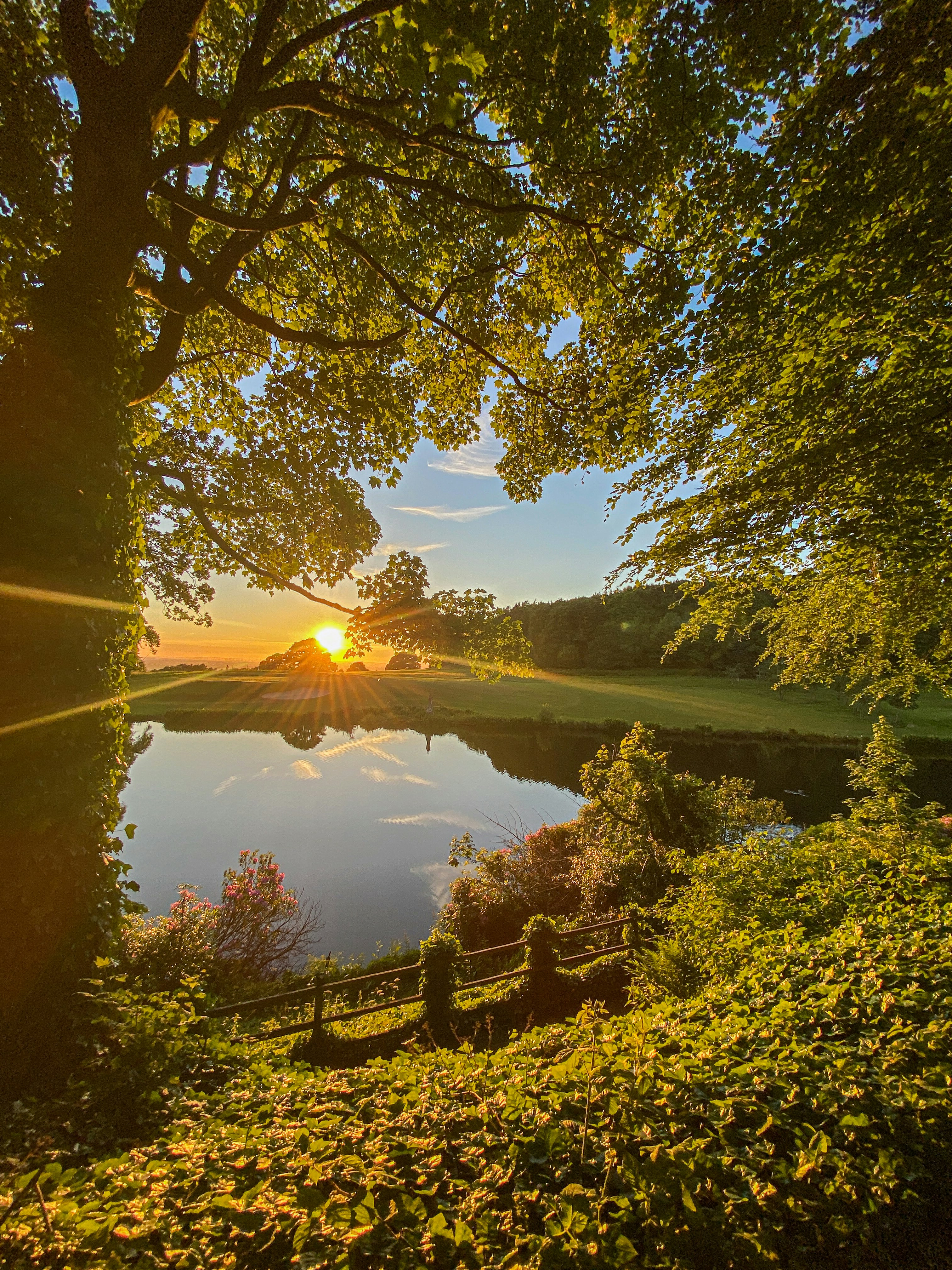 Photo by fleivophotography