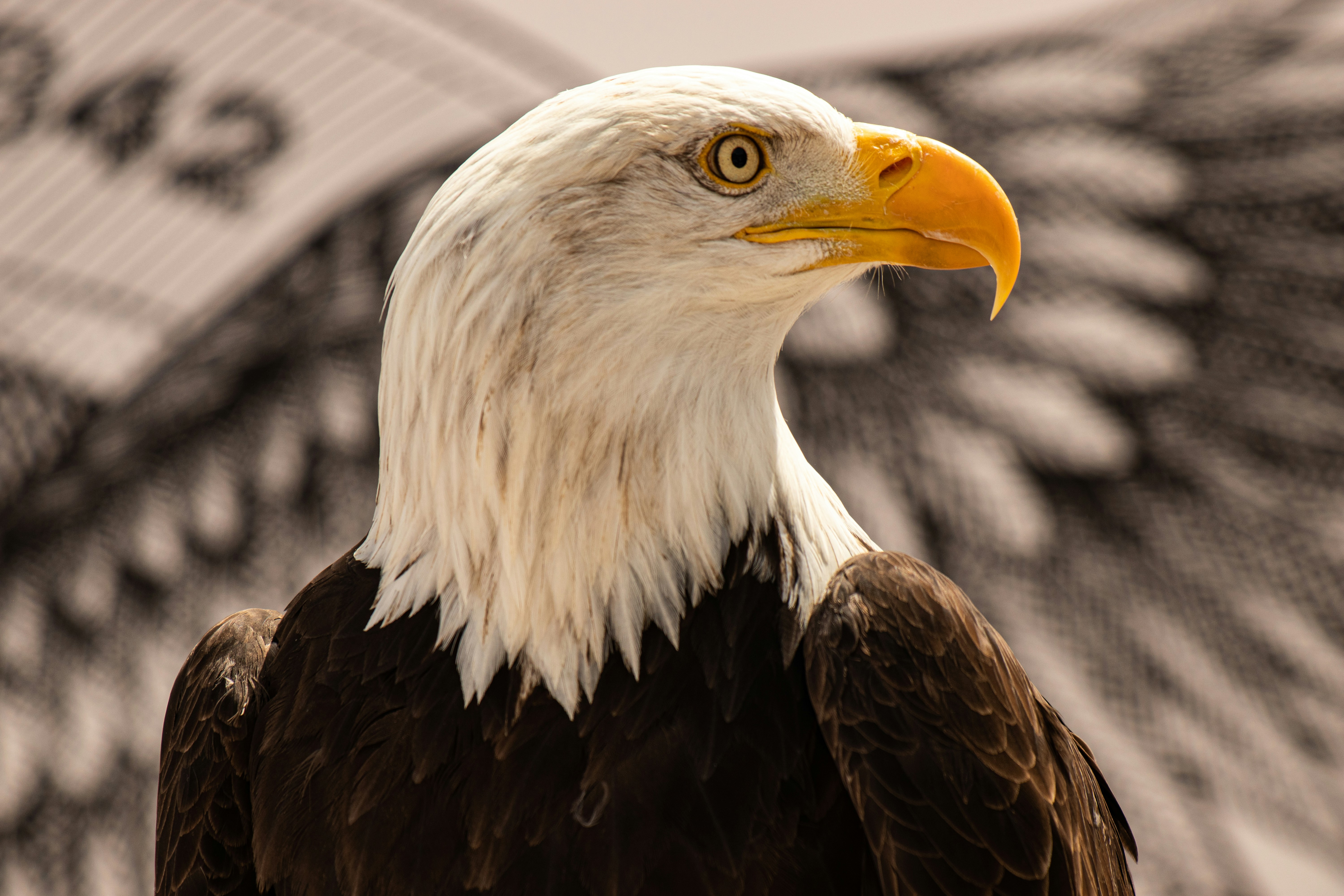 Photo by fleivophotography