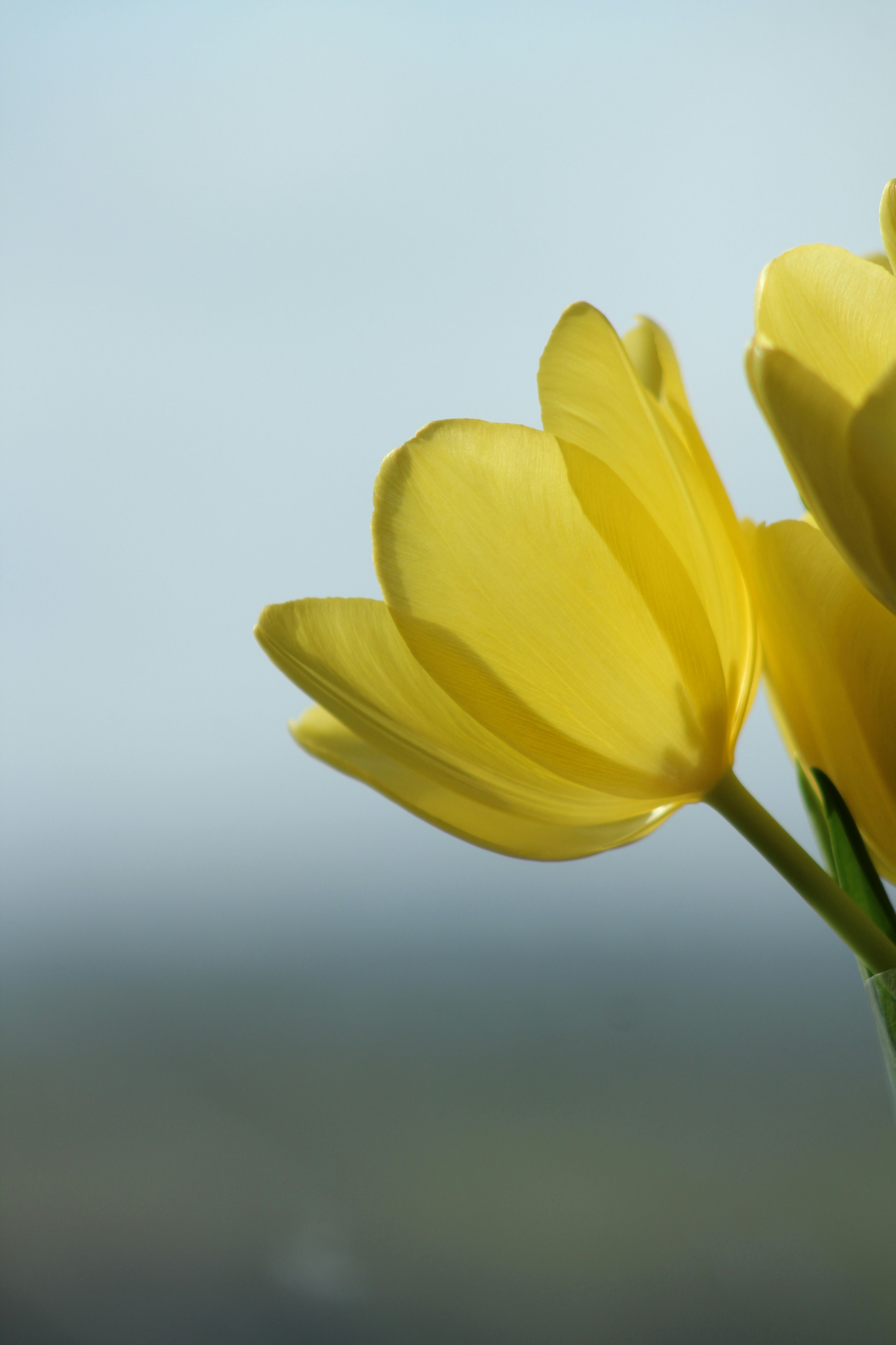 Photo by feliciafelicia