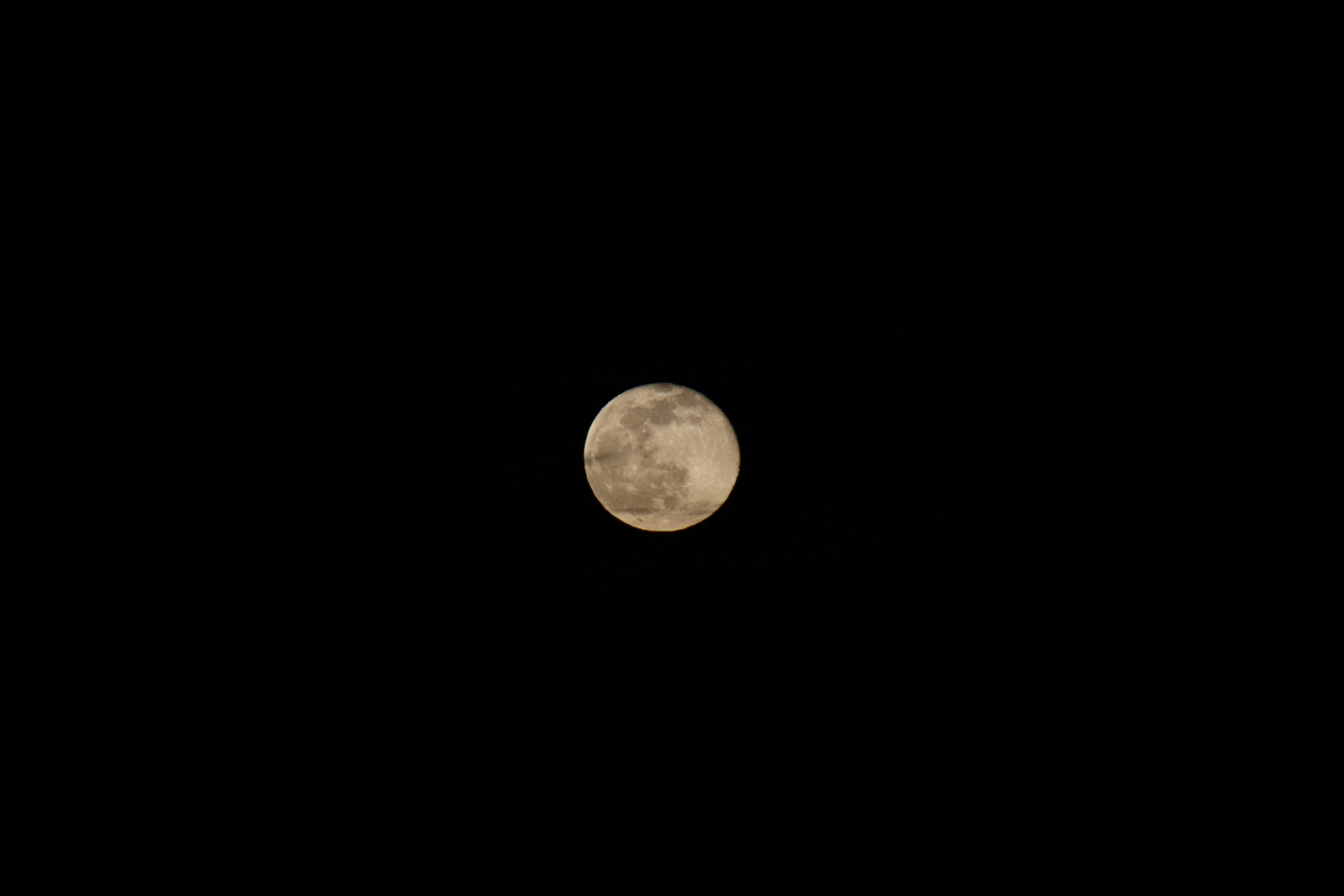 Photo by feliciafelicia