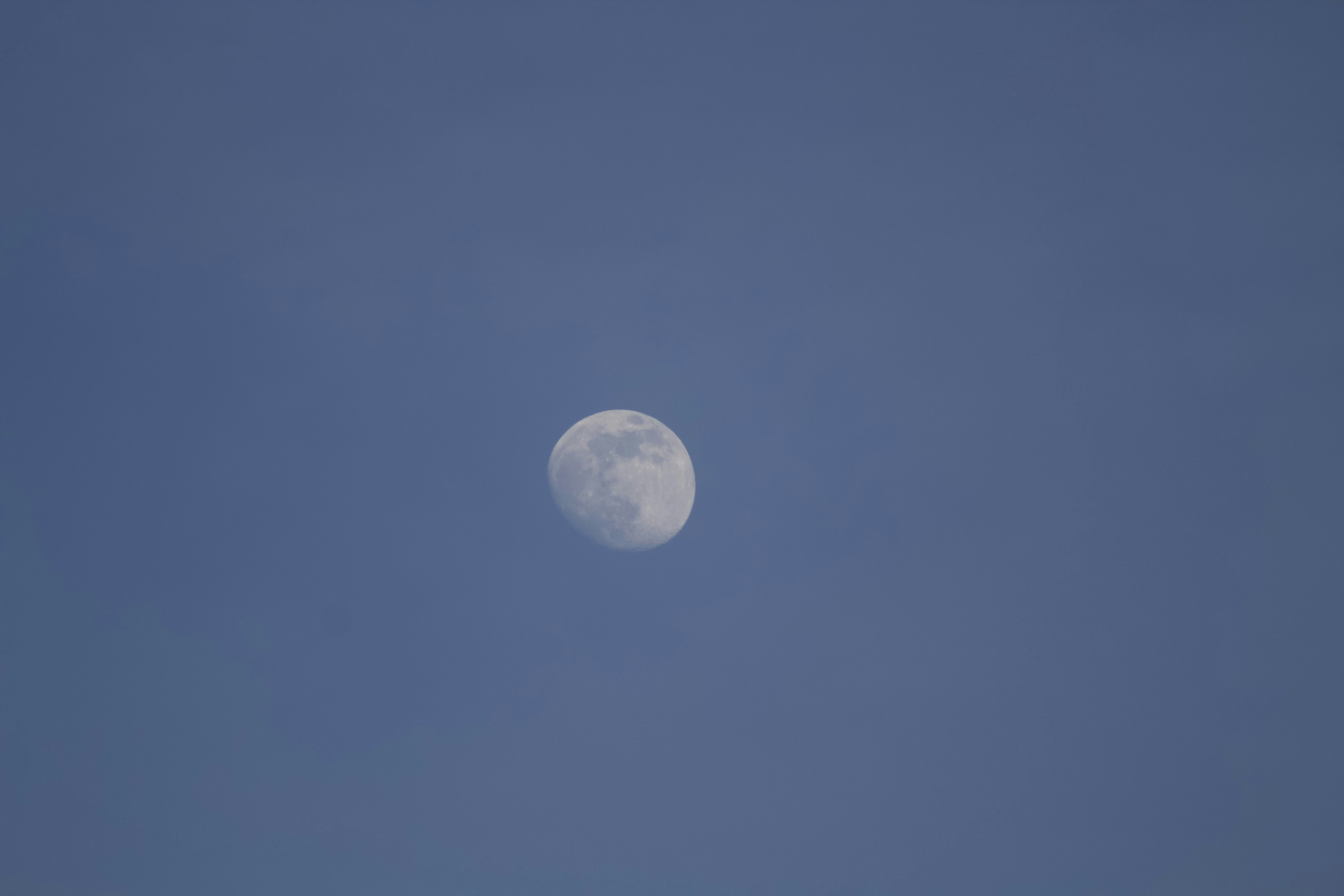 Photo by feliciafelicia