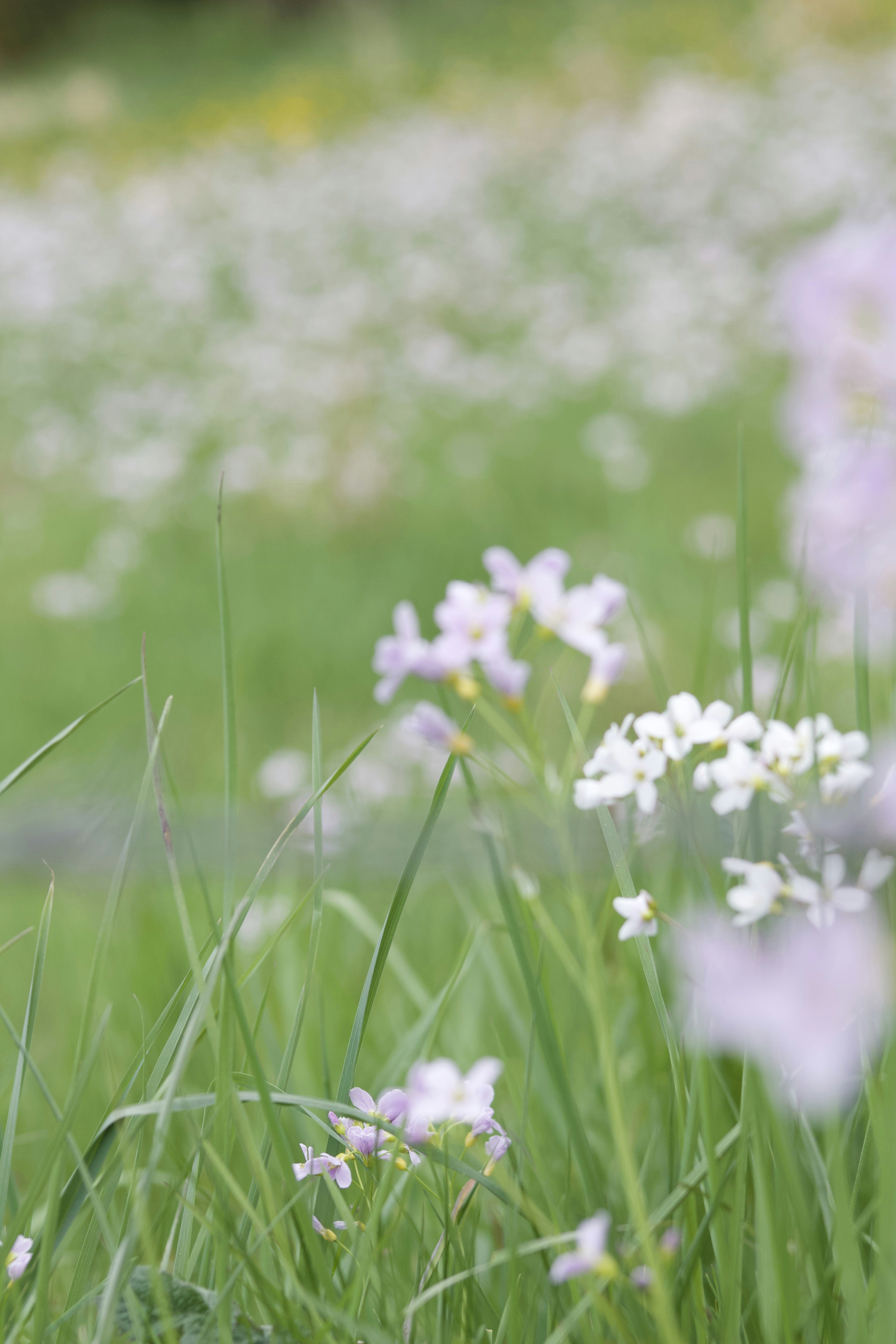 Photo by feliciafelicia