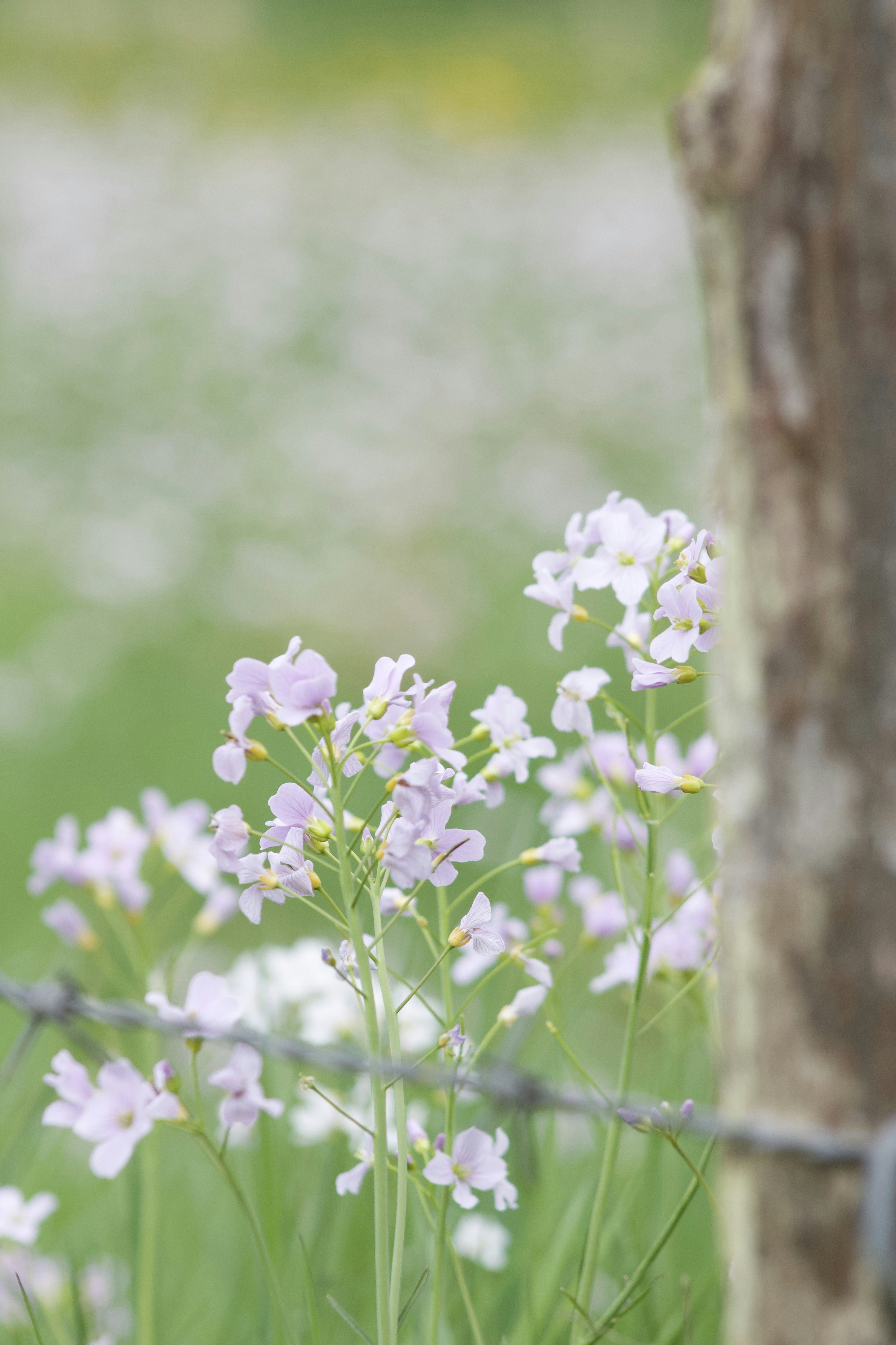 Photo by feliciafelicia