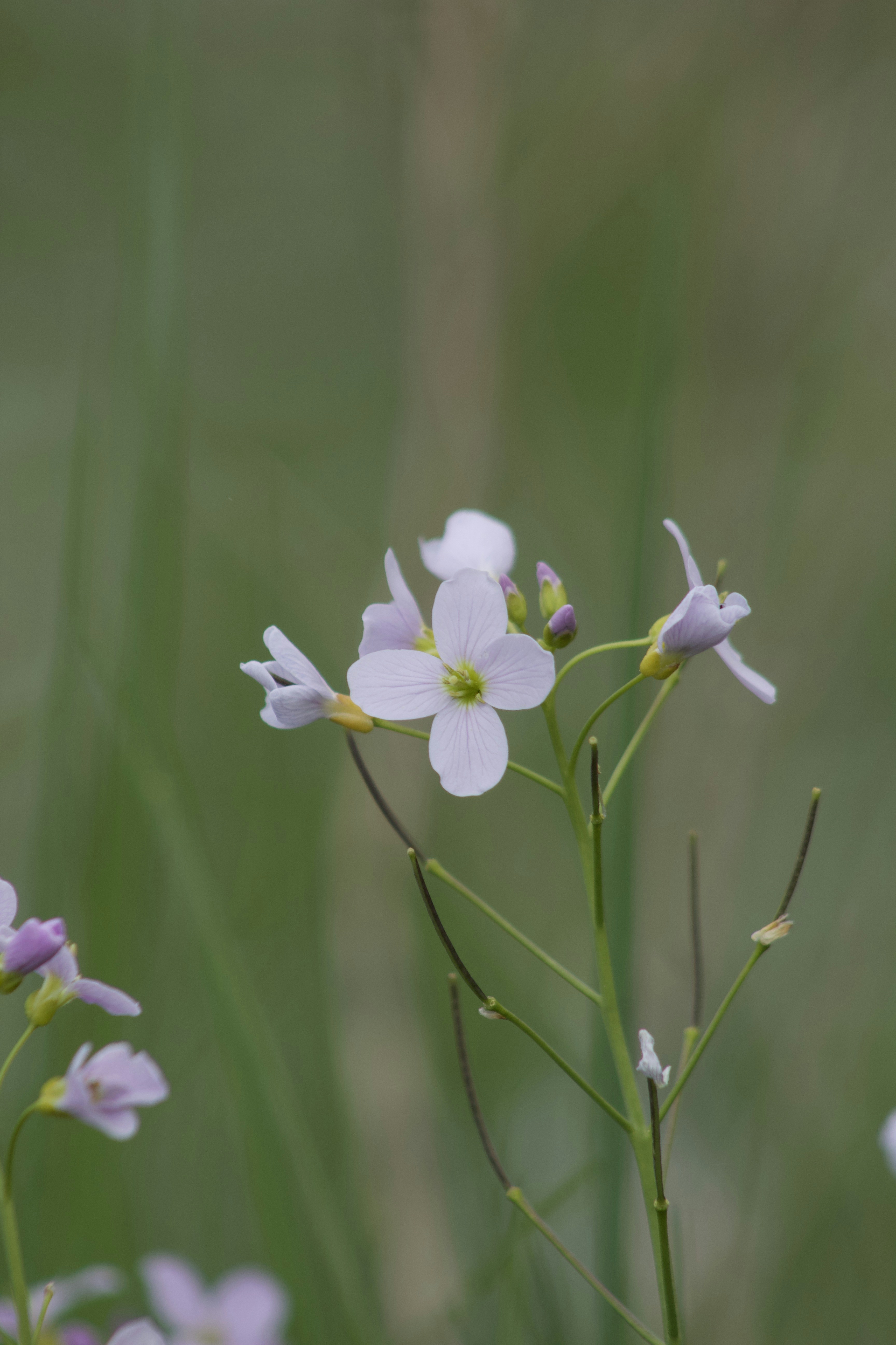 Photo by feliciafelicia