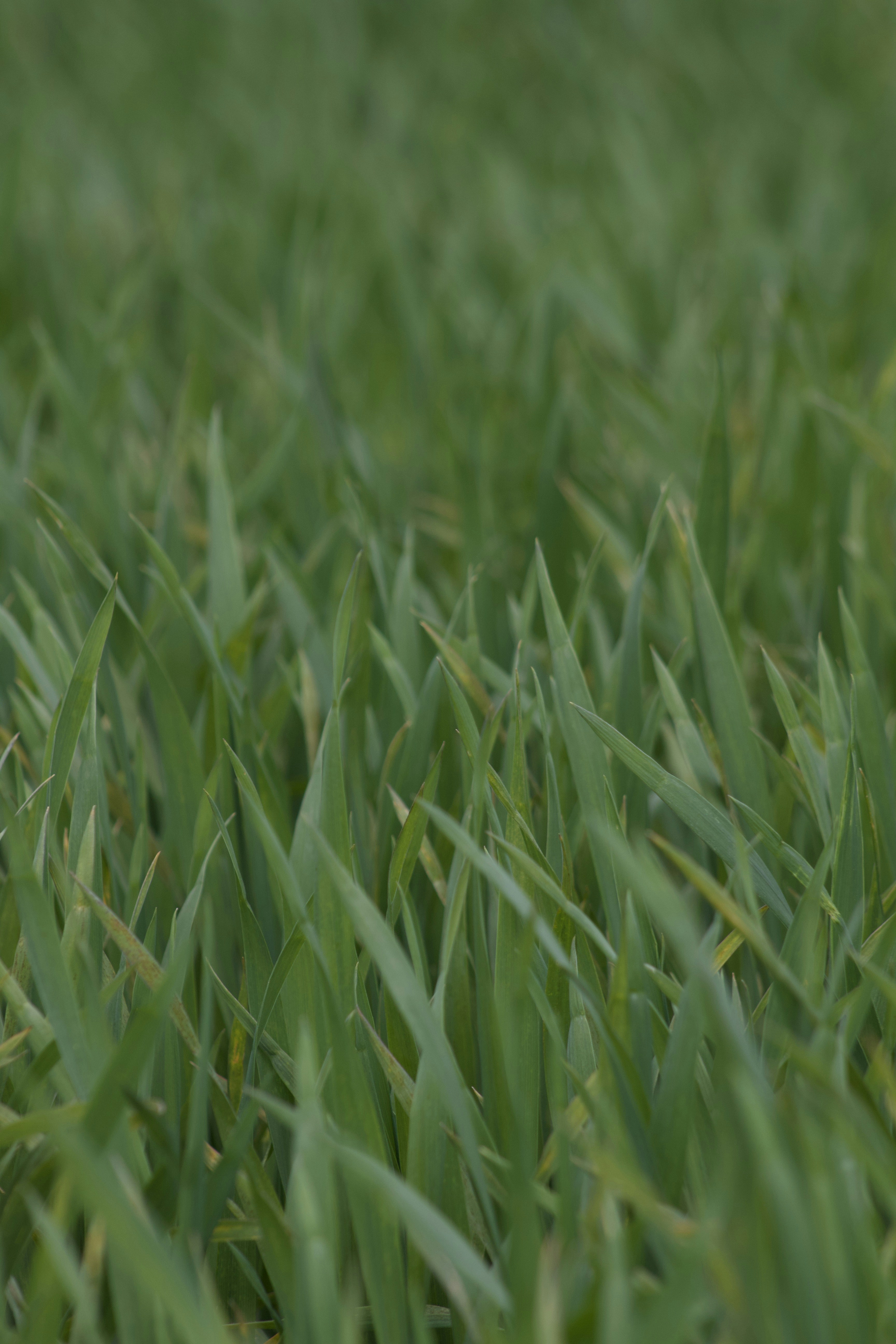 Photo by feliciafelicia