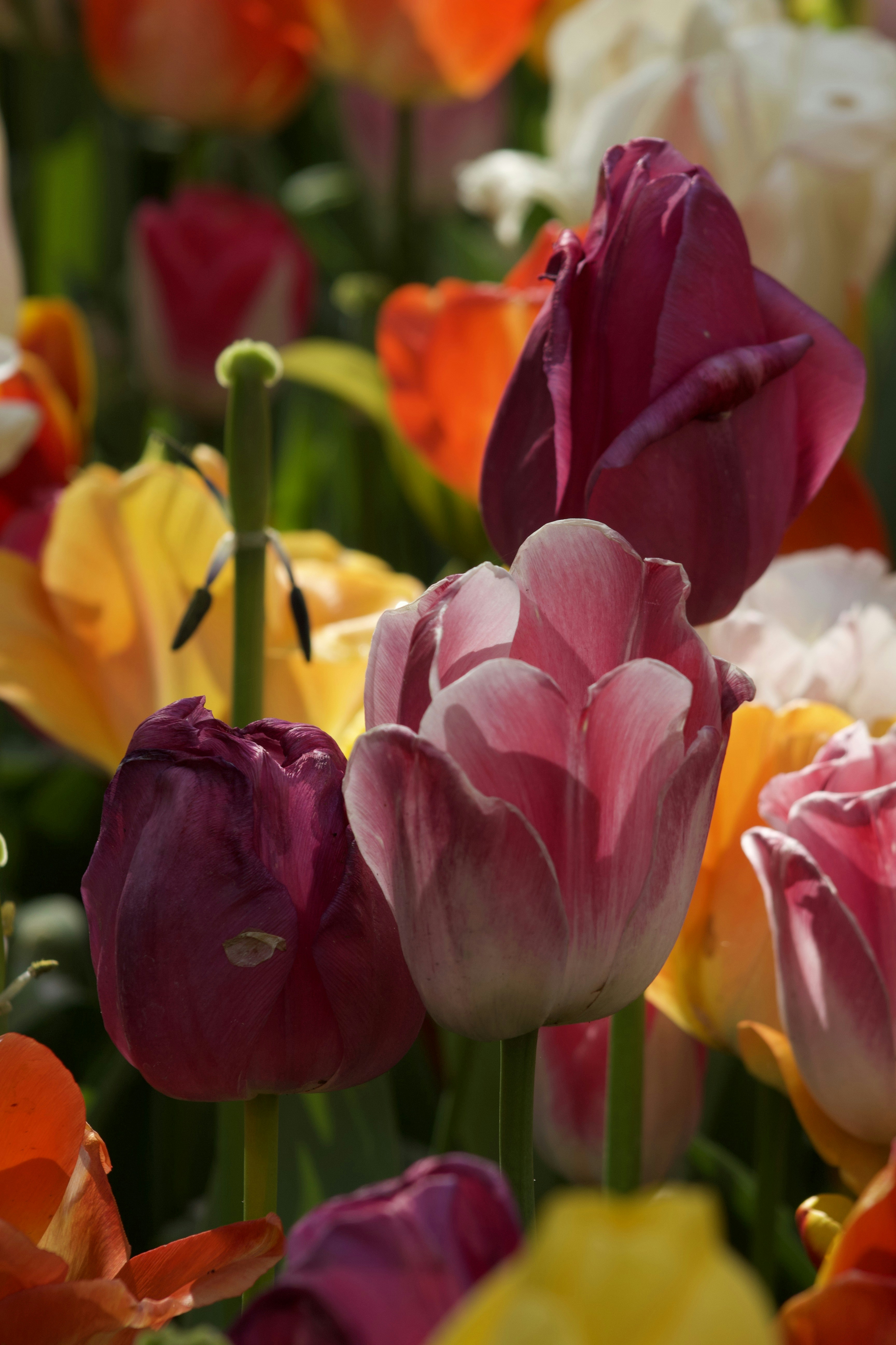 Photo by feliciafelicia