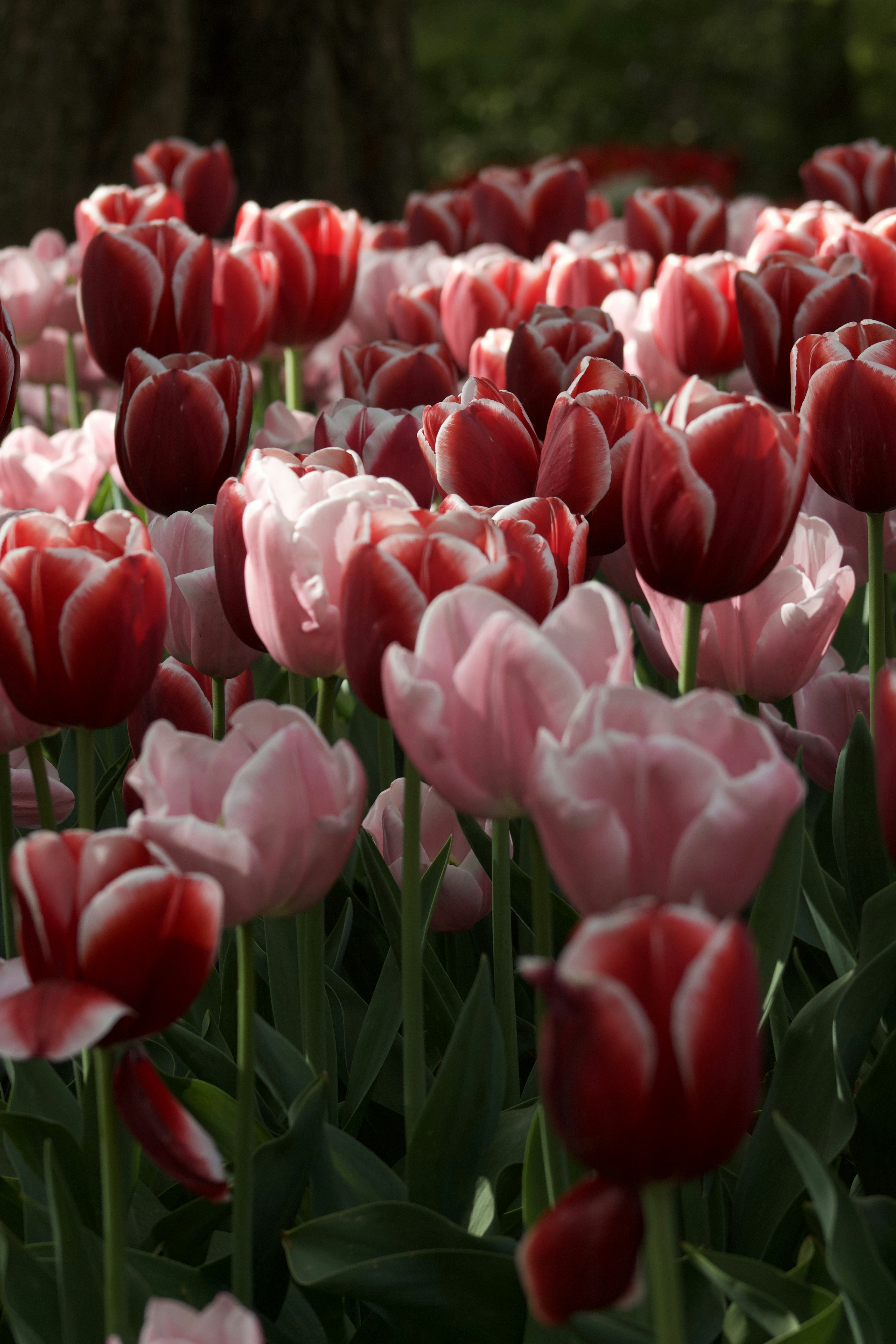 Photo by feliciafelicia