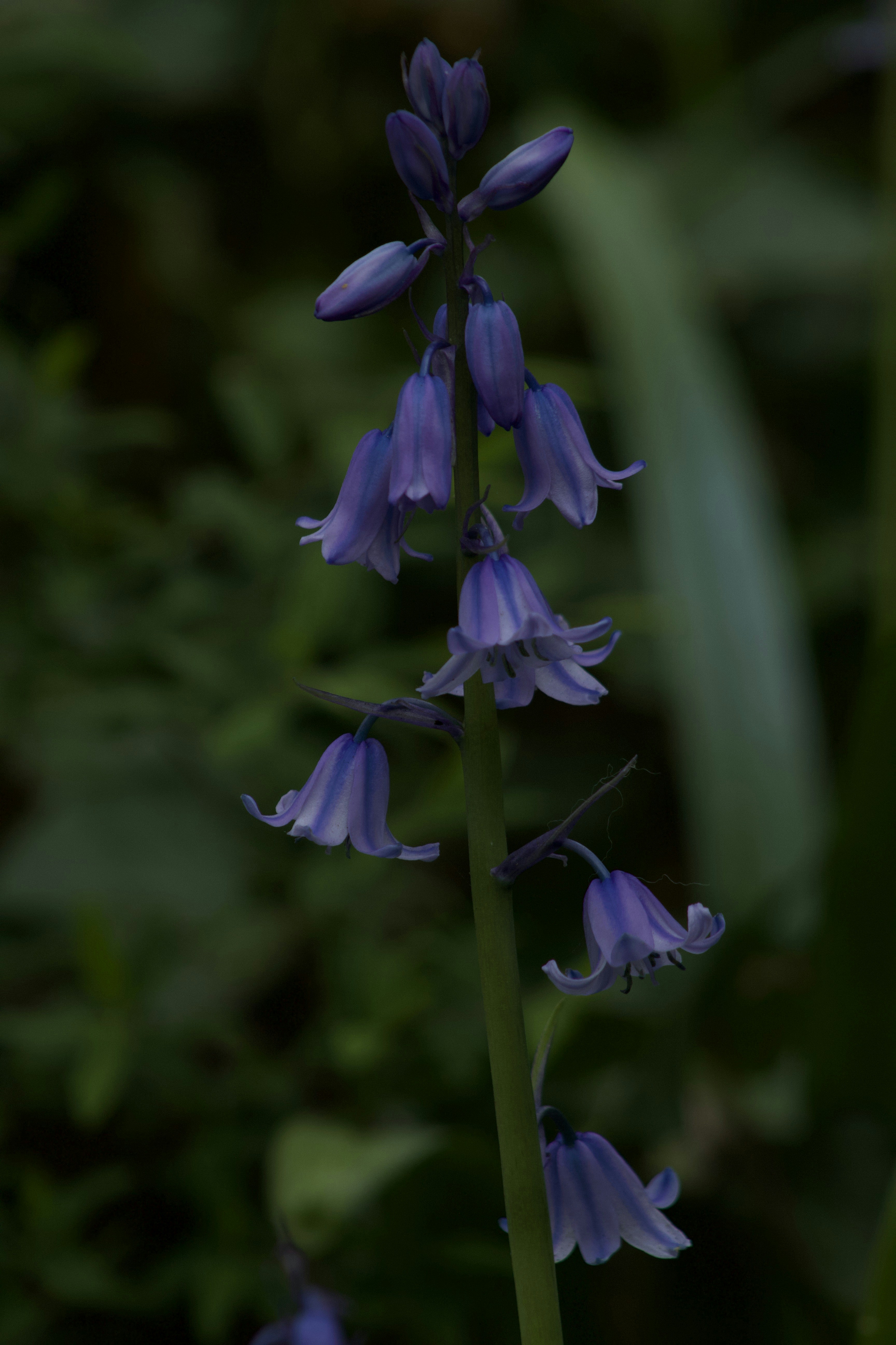 Photo by feliciafelicia