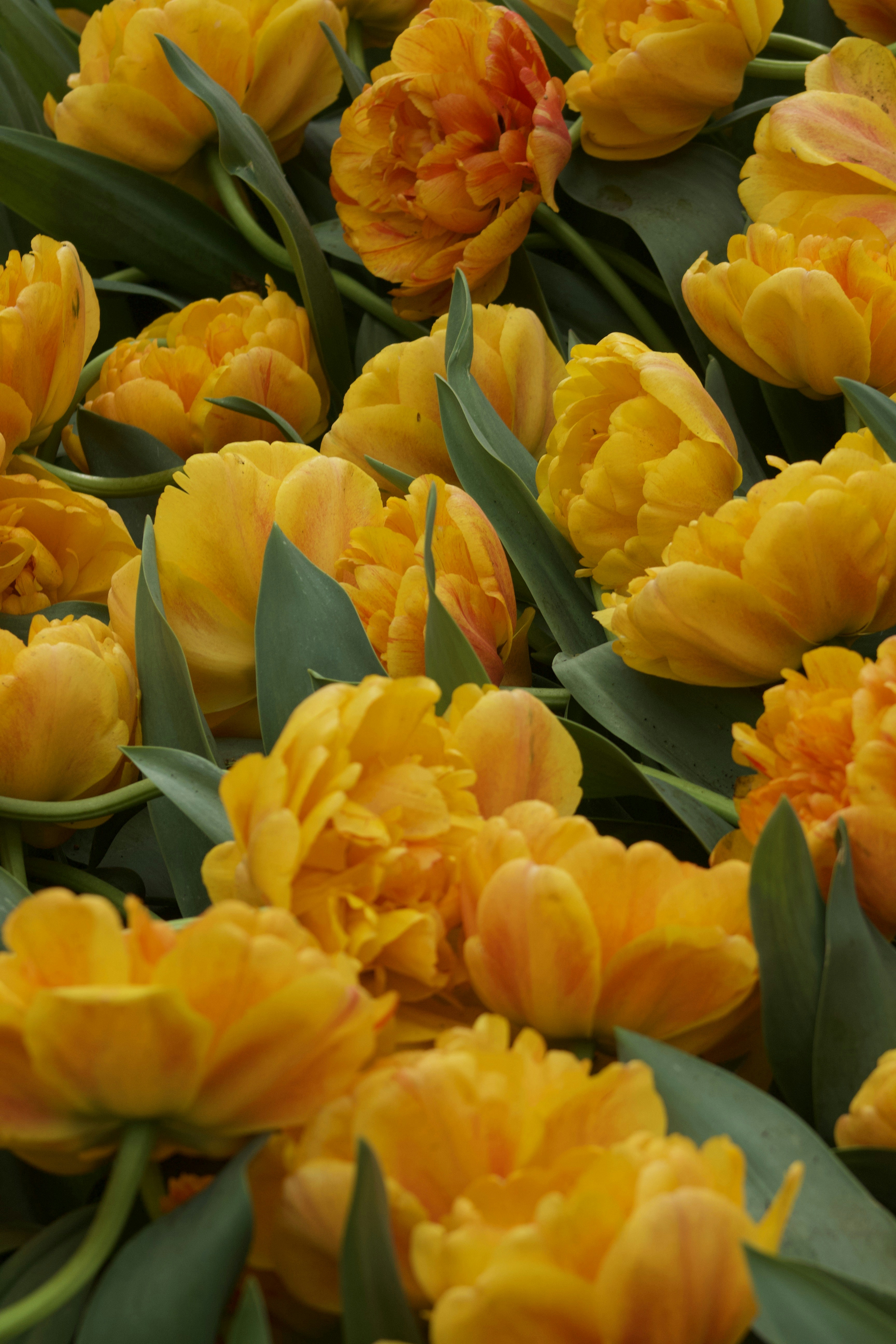 Photo by feliciafelicia