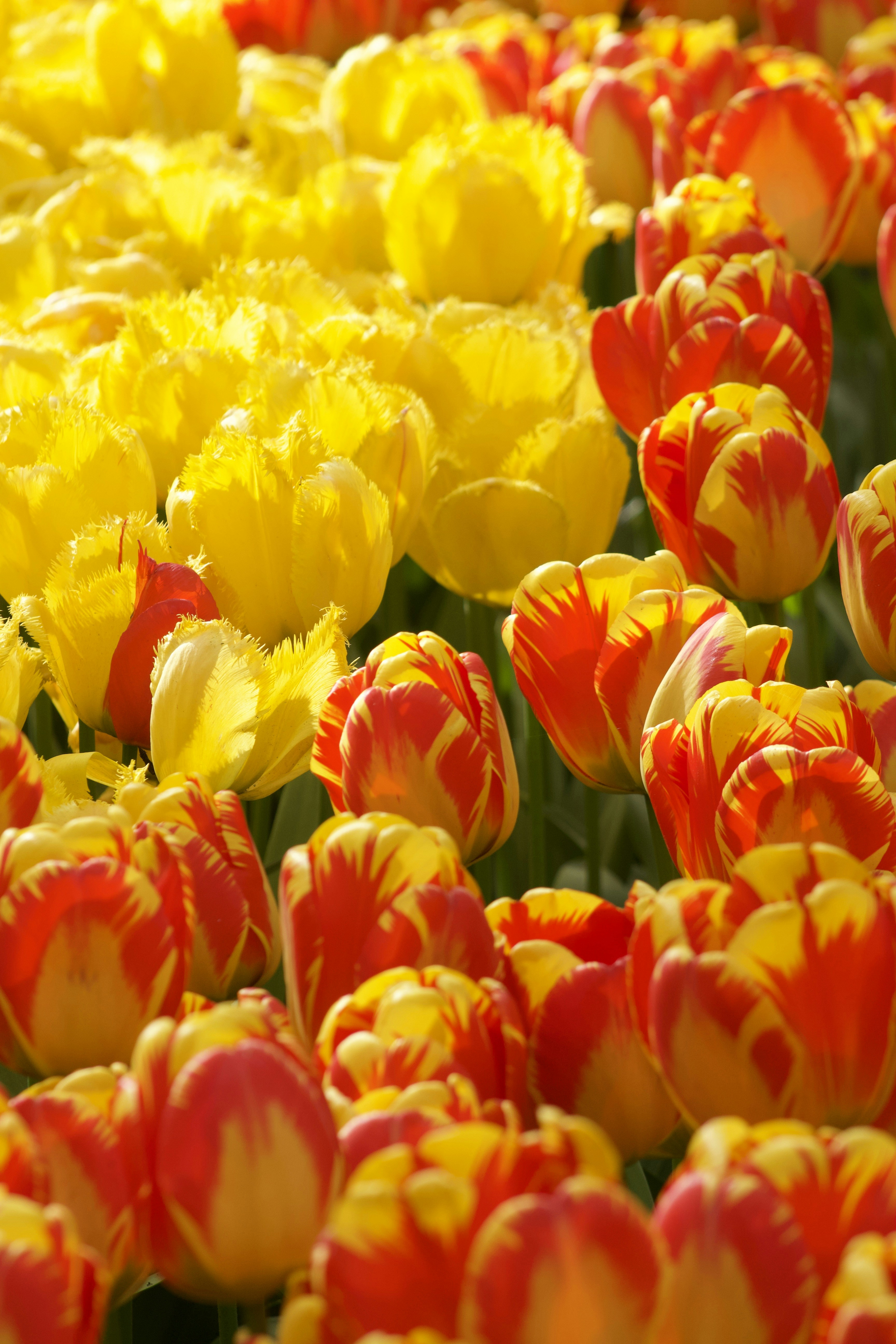 Photo by feliciafelicia