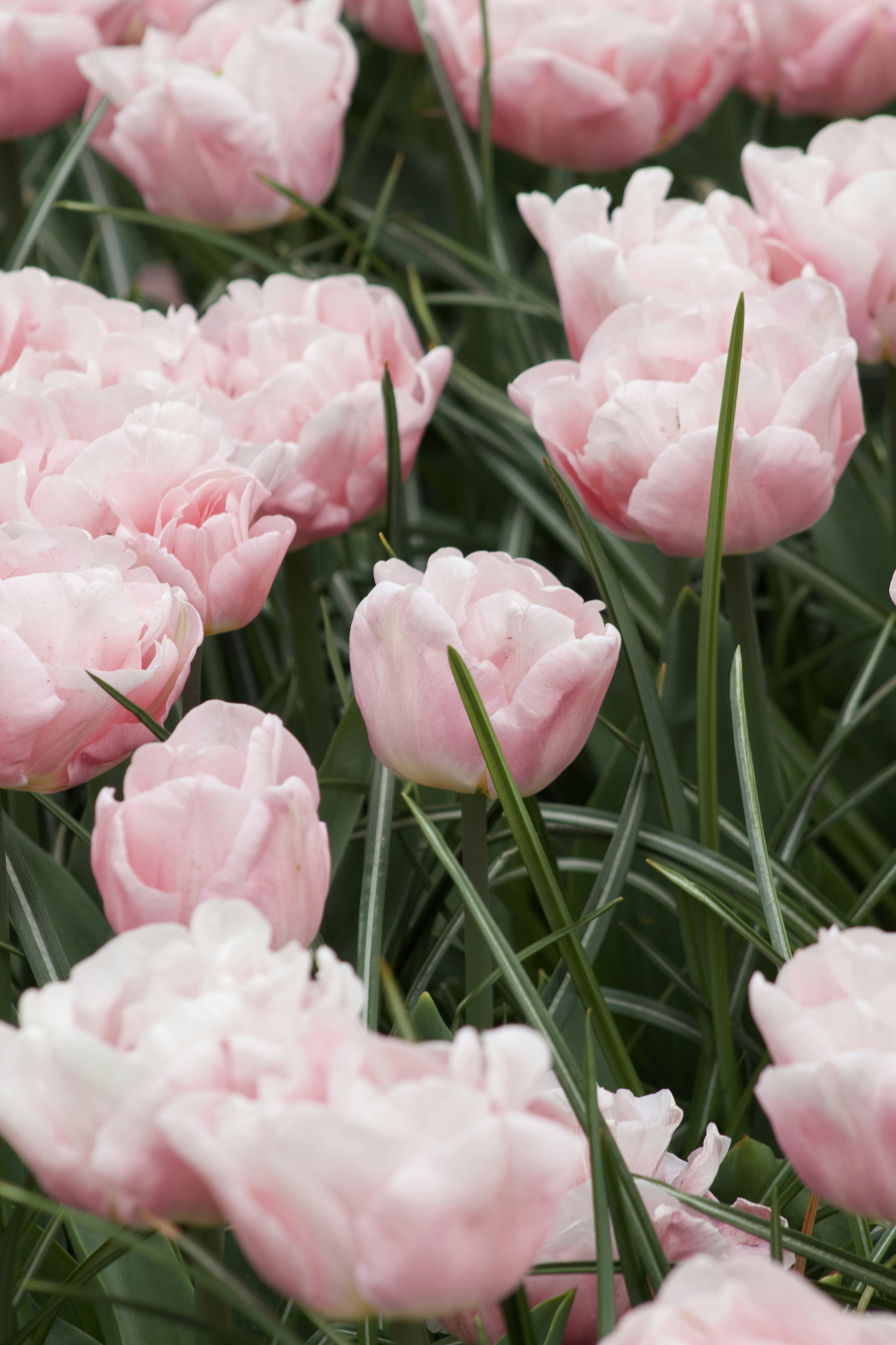 Photo by feliciafelicia