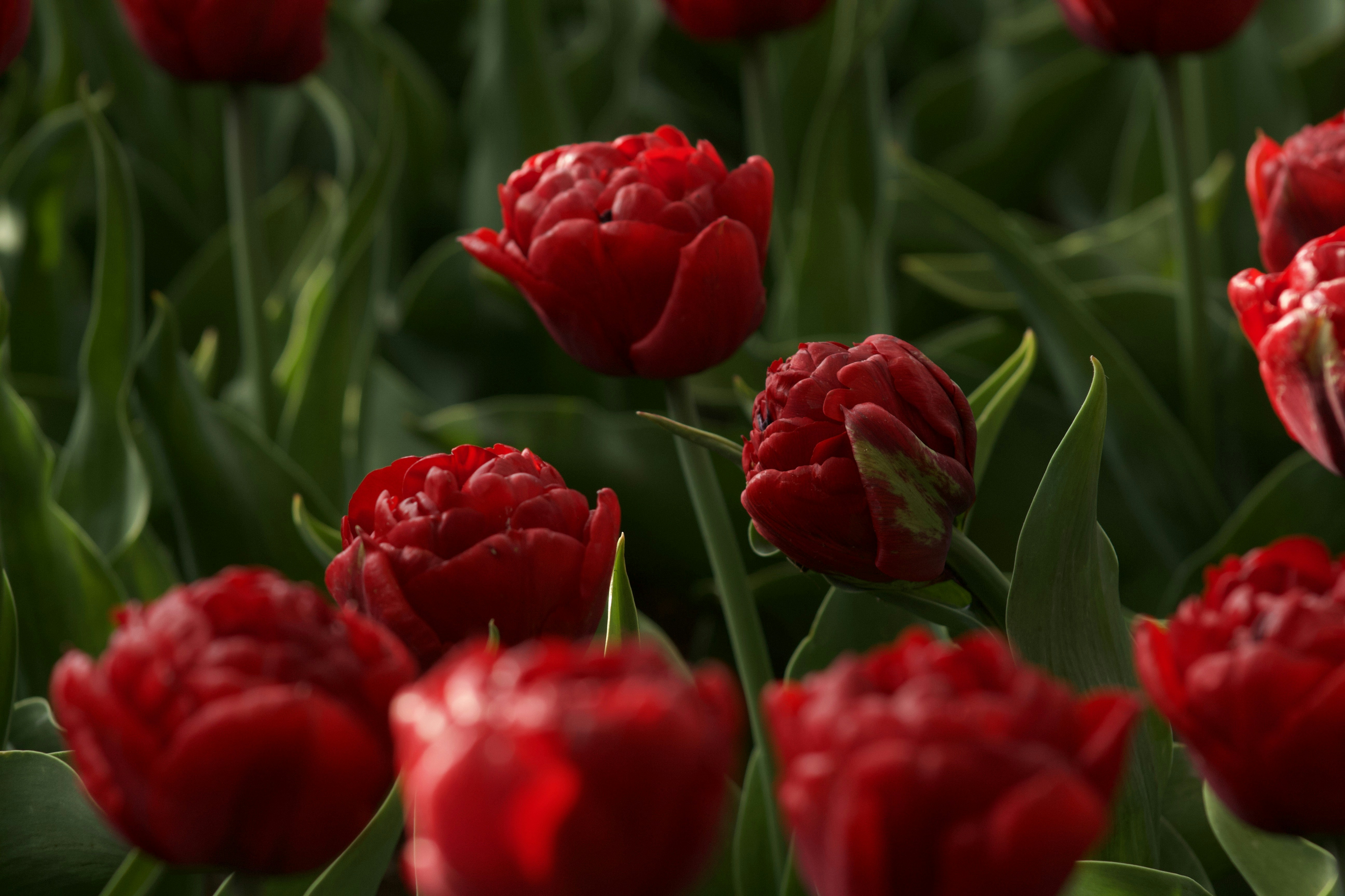 Photo by feliciafelicia