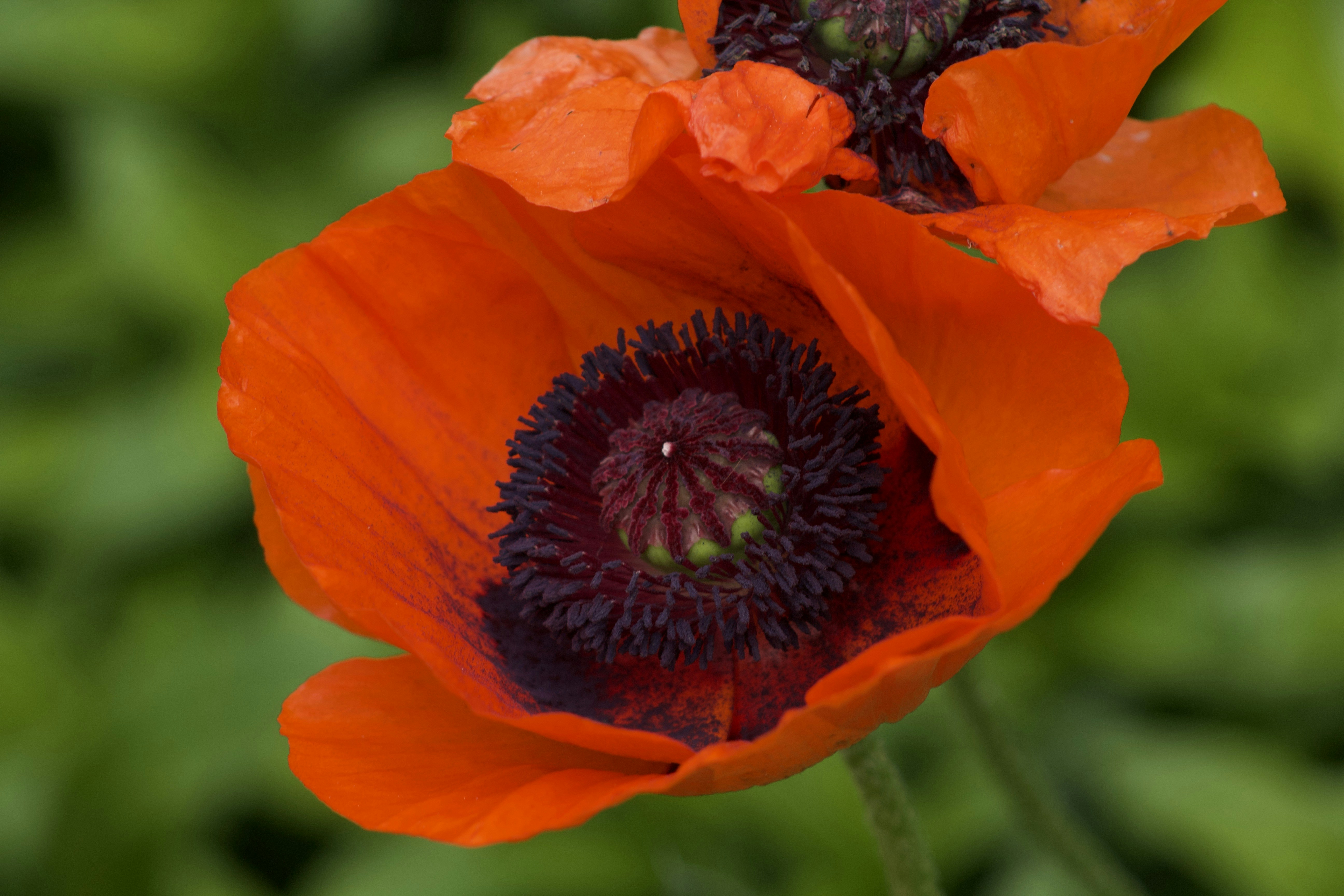 Photo by feliciafelicia